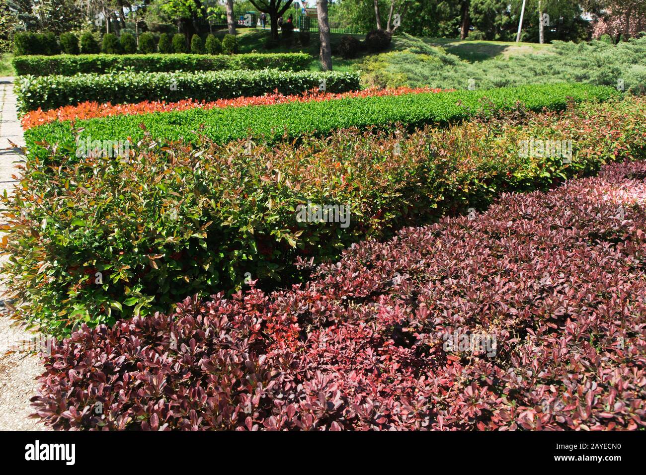 Gewächshäuser für wachsende Blumen. Blumenindustrie Stockfoto