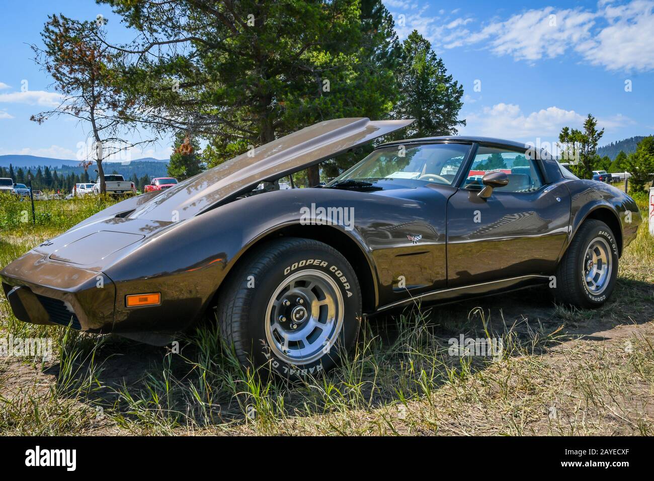 Eine große Auto- und Fahrrad-Show im Freien in Lincoln, Montana Stockfoto