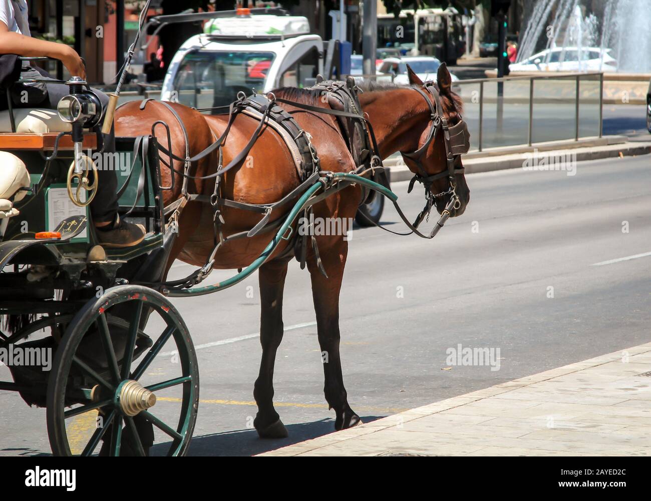 Pferdewagen wartet auf Kunden am Straßenrand Stockfoto