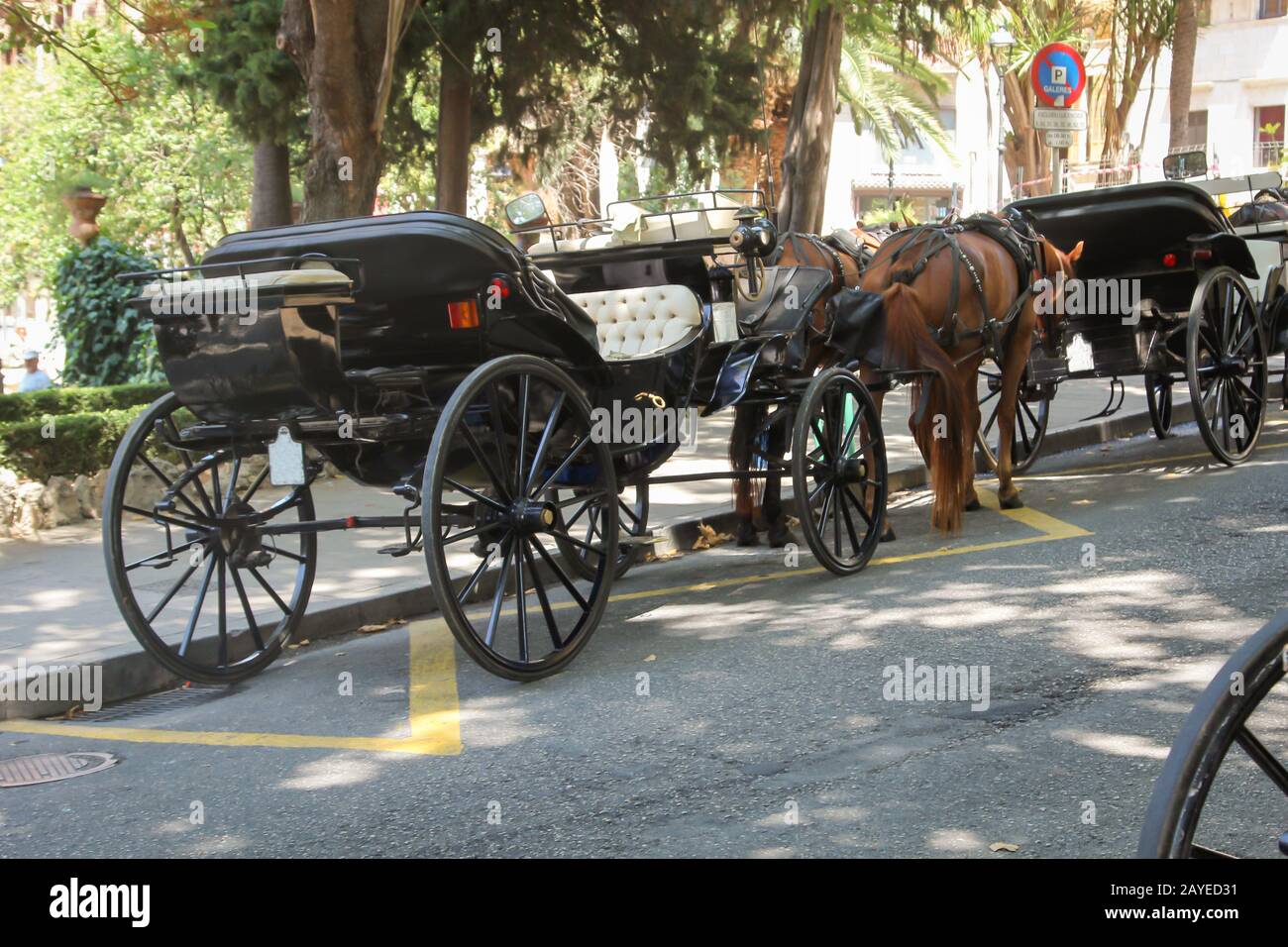 Pferdewagen wartet auf Kunden am Straßenrand Stockfoto