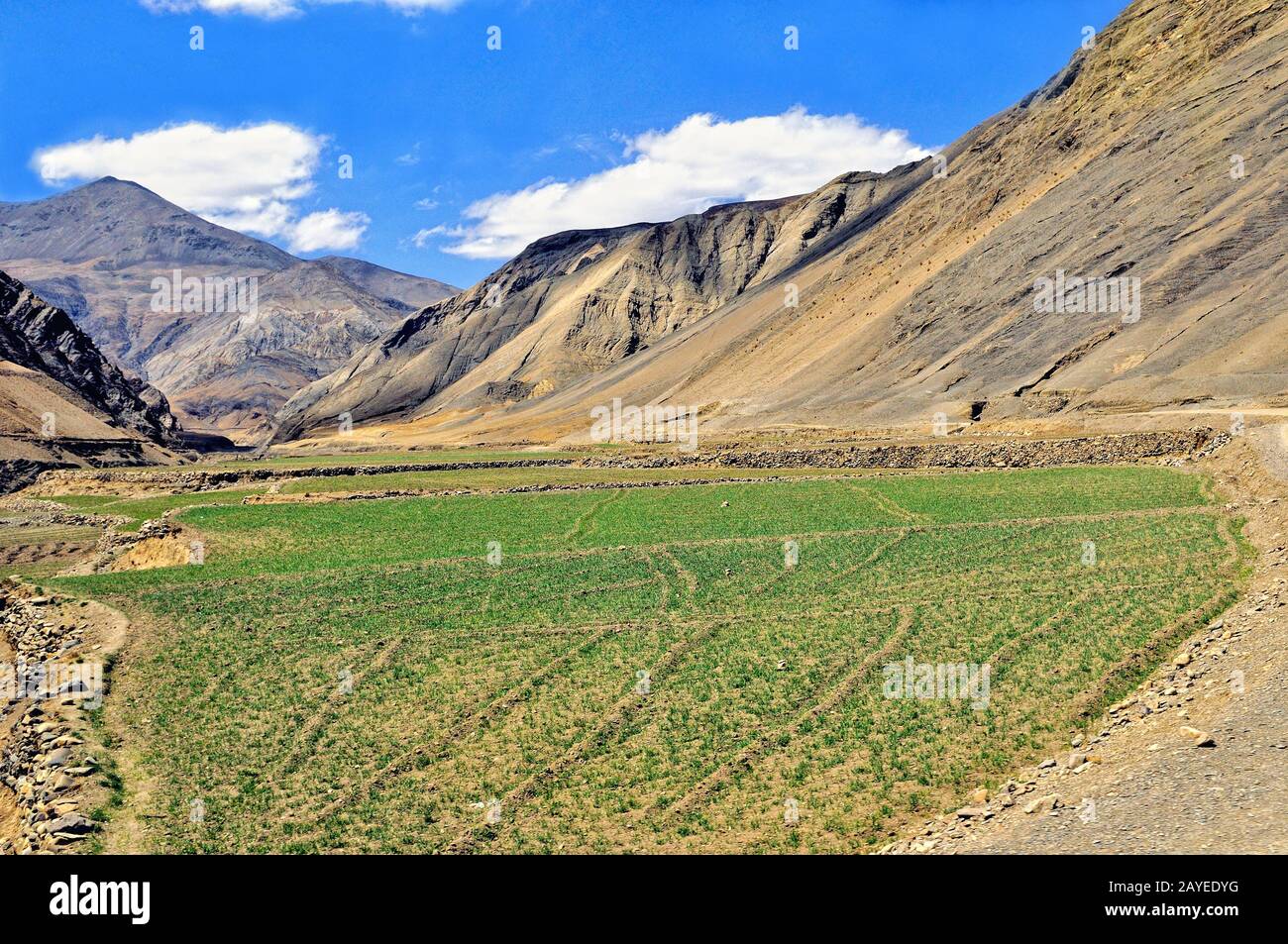 Karge Landschaft in Tibet-China Stockfoto