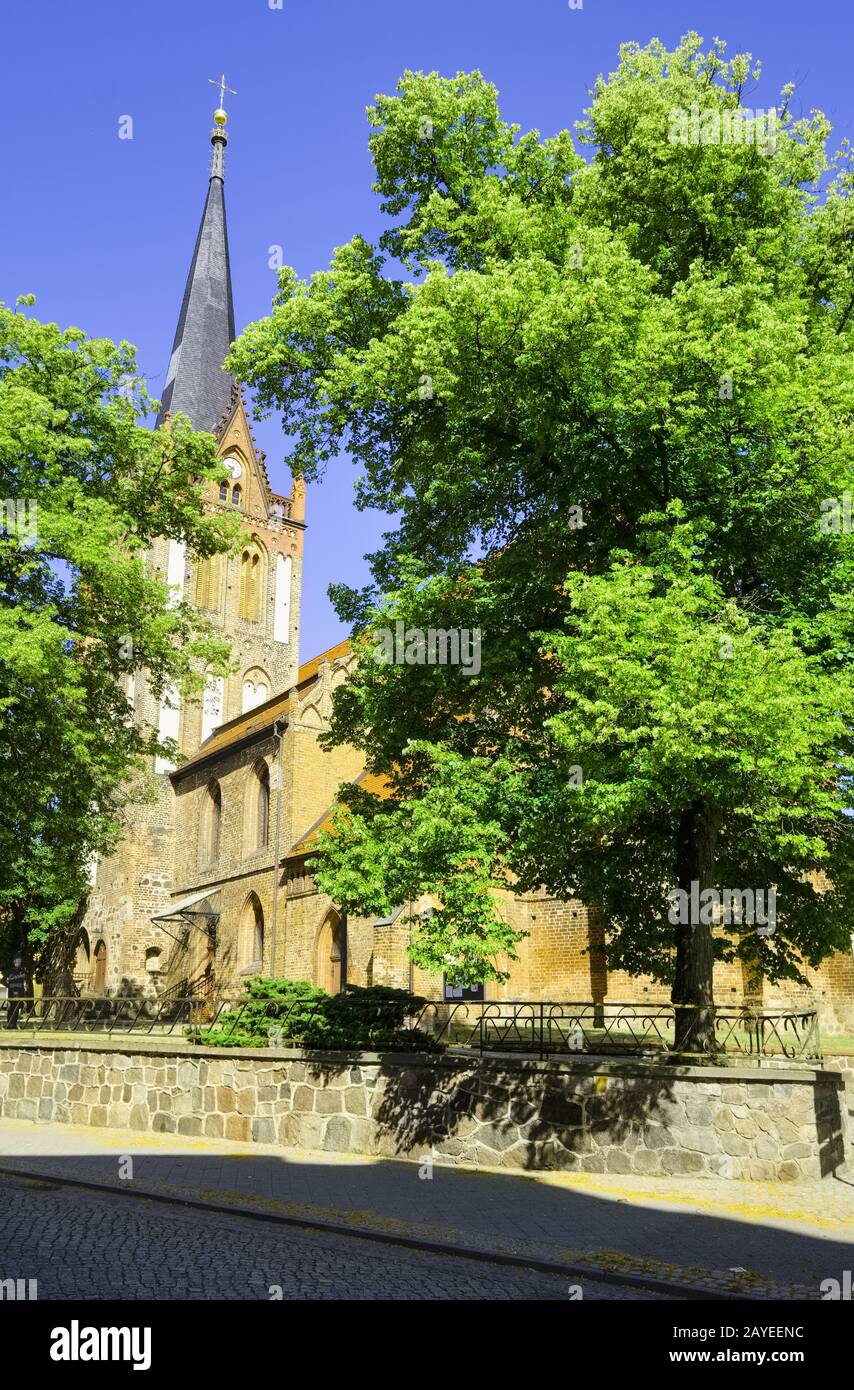 Pfarrkirche St. Nikolai, Bad Freienwalde, Brandenburg, Deutschland Stockfoto