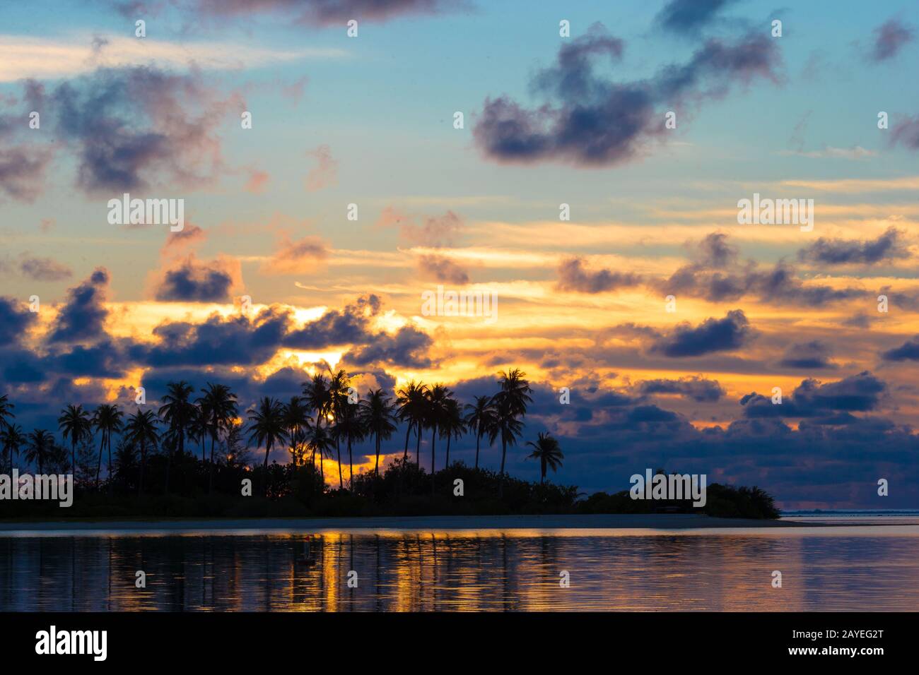 Sonnenuntergang am Meer, dunkle Silhouetten von Palmen und erstaunliche bewölktem Himmel Stockfoto
