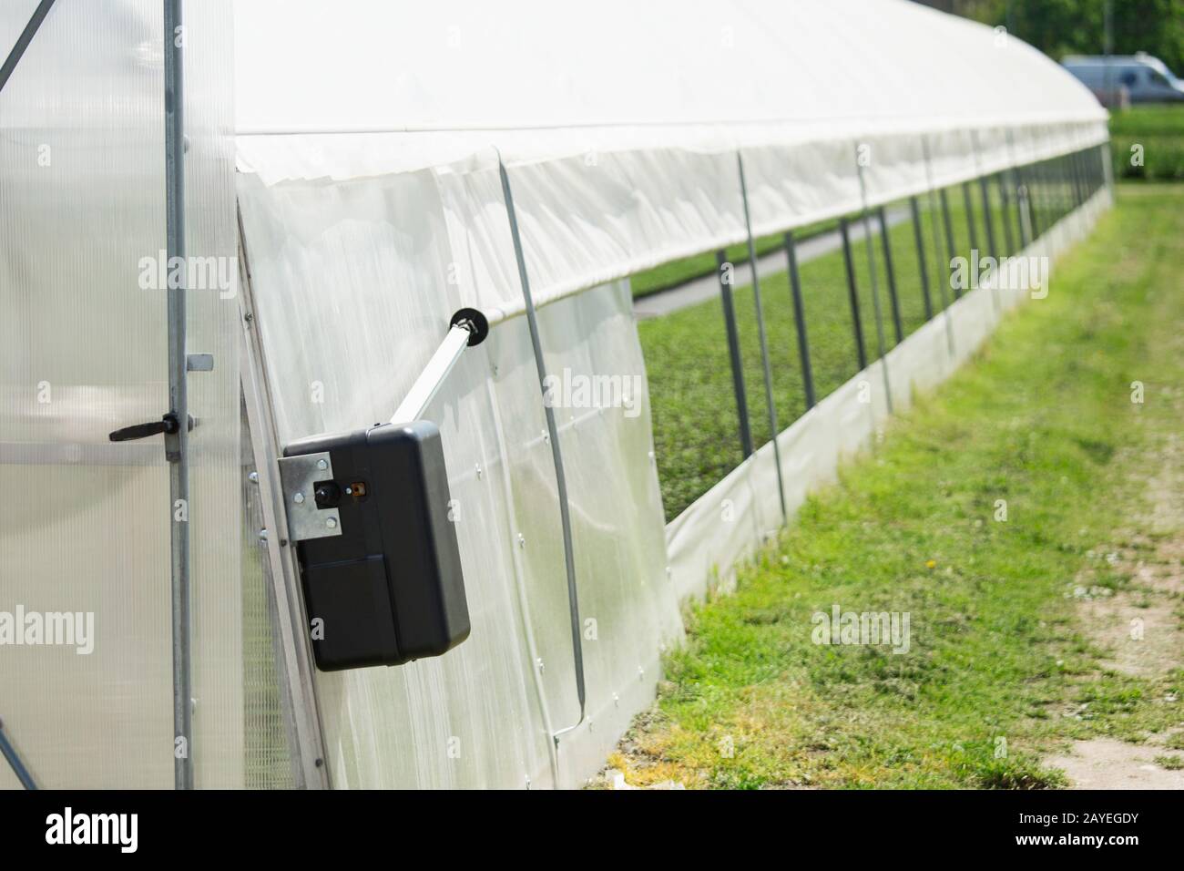 Gewächshäuser für wachsende Blumen. Blumenindustrie Stockfoto