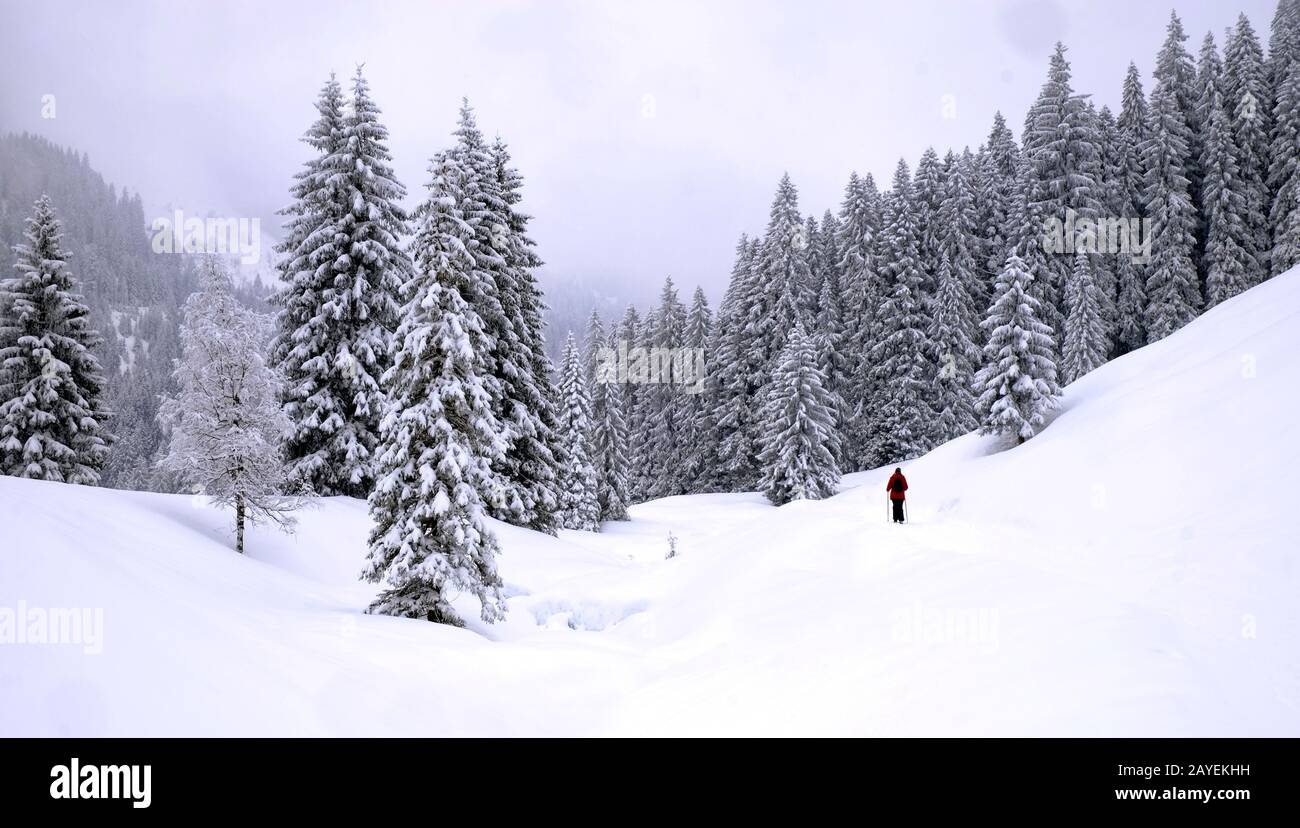 Winterwald mit einsamem Wanderer Stockfoto