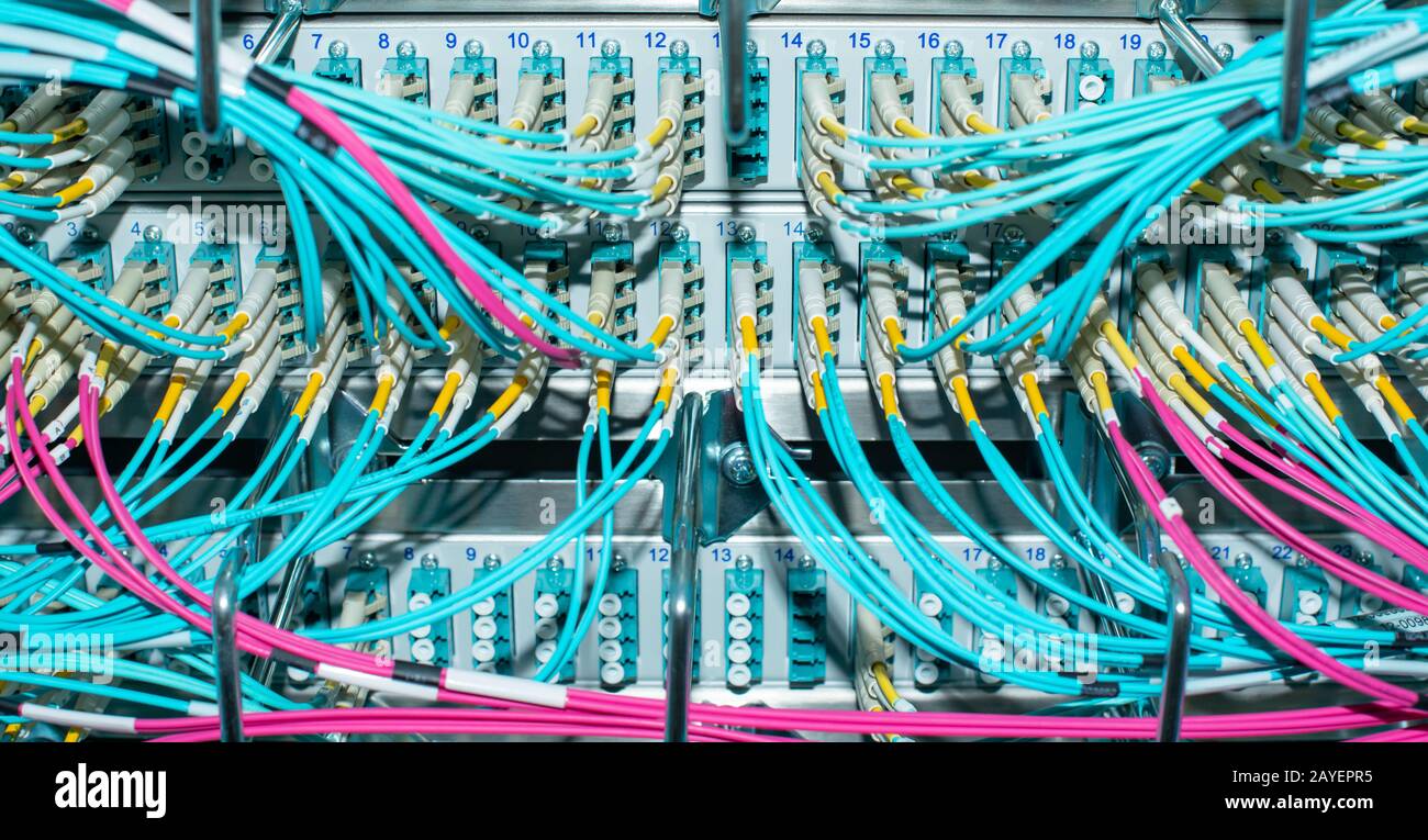 Netzwerk-Switch und Netzwerkkabel Glasfaserkabel in einem Rechenzentrum Stockfoto