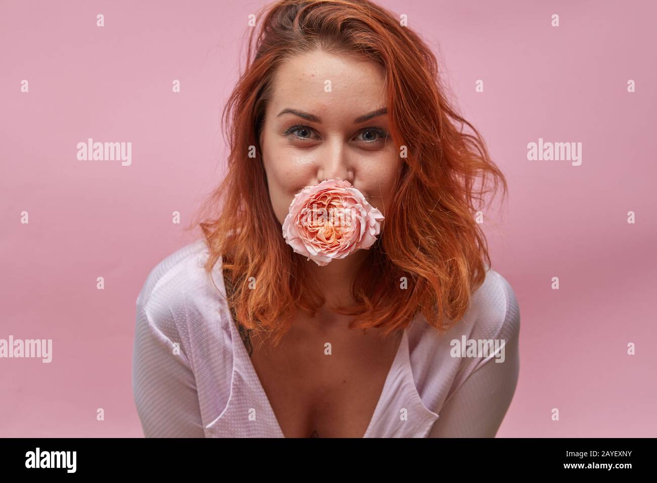 Hübsche Frau, die eine Rosenknospe im Mund um einen rosafarbenen Hintergrund hält Stockfoto