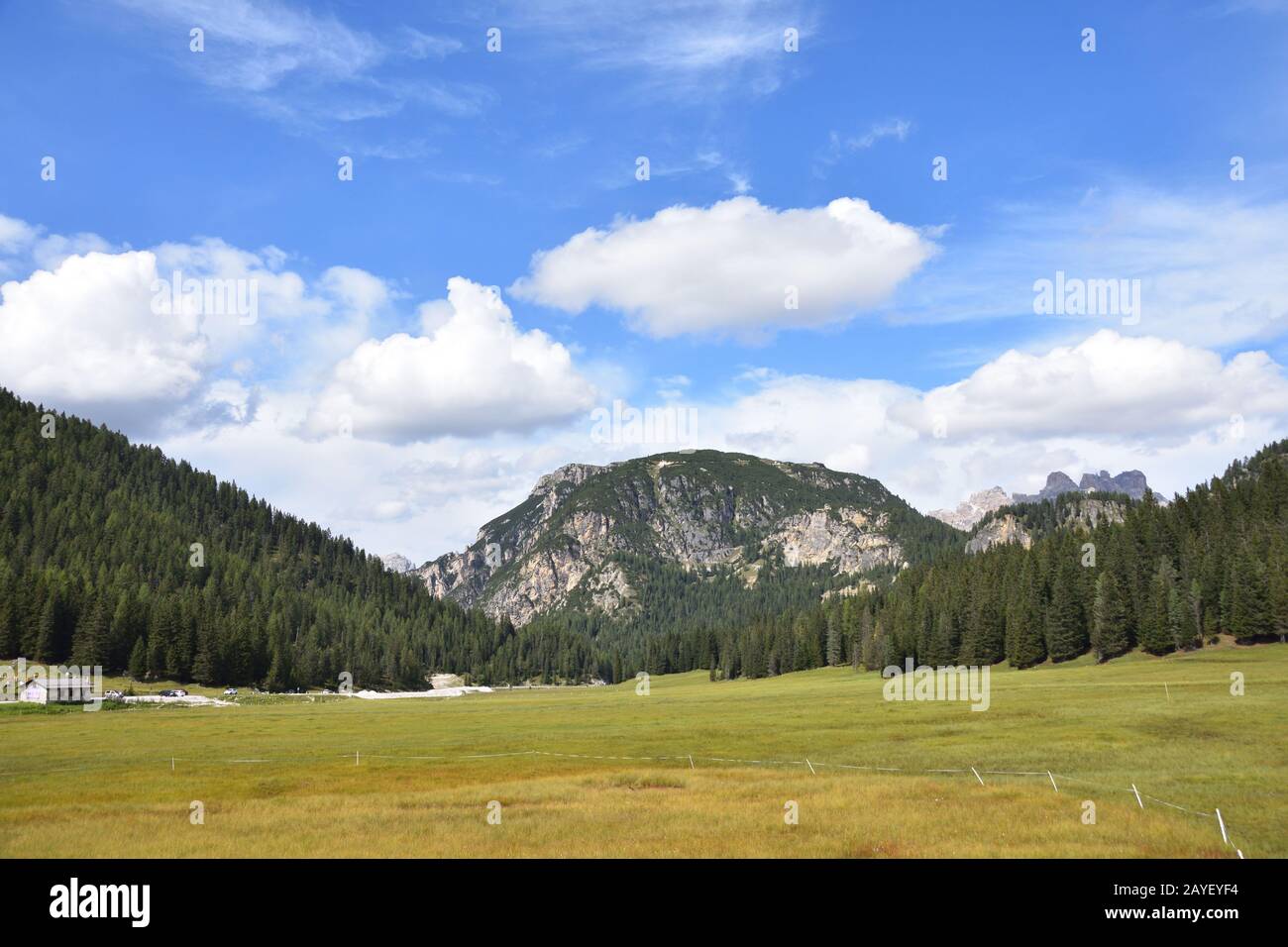 Nationalpark "Dolmiti Bellunesi" Stockfoto