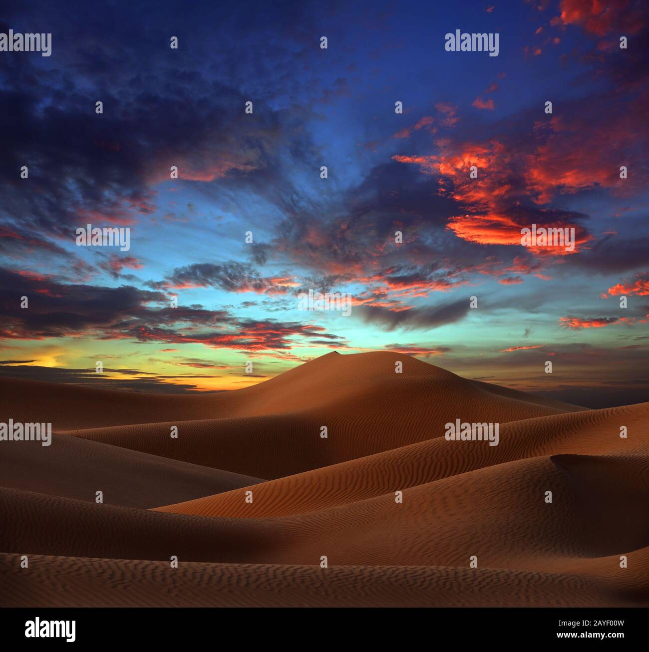 Sanddünen in der Wüste bei Sonnenuntergang Stockfoto