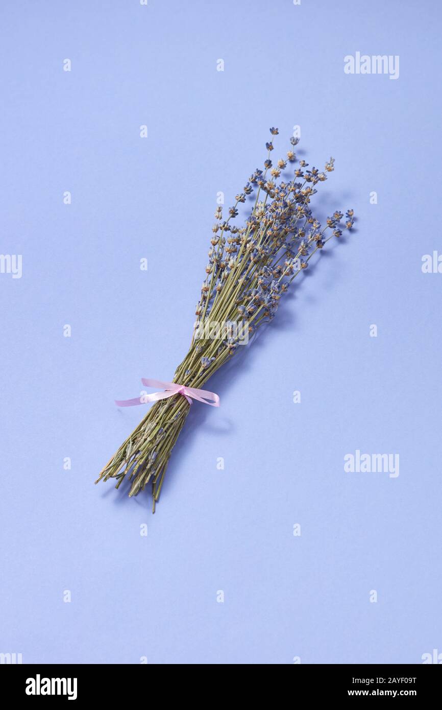 Lavendelbund trockene Blumen mit weichen Schatten. Stockfoto