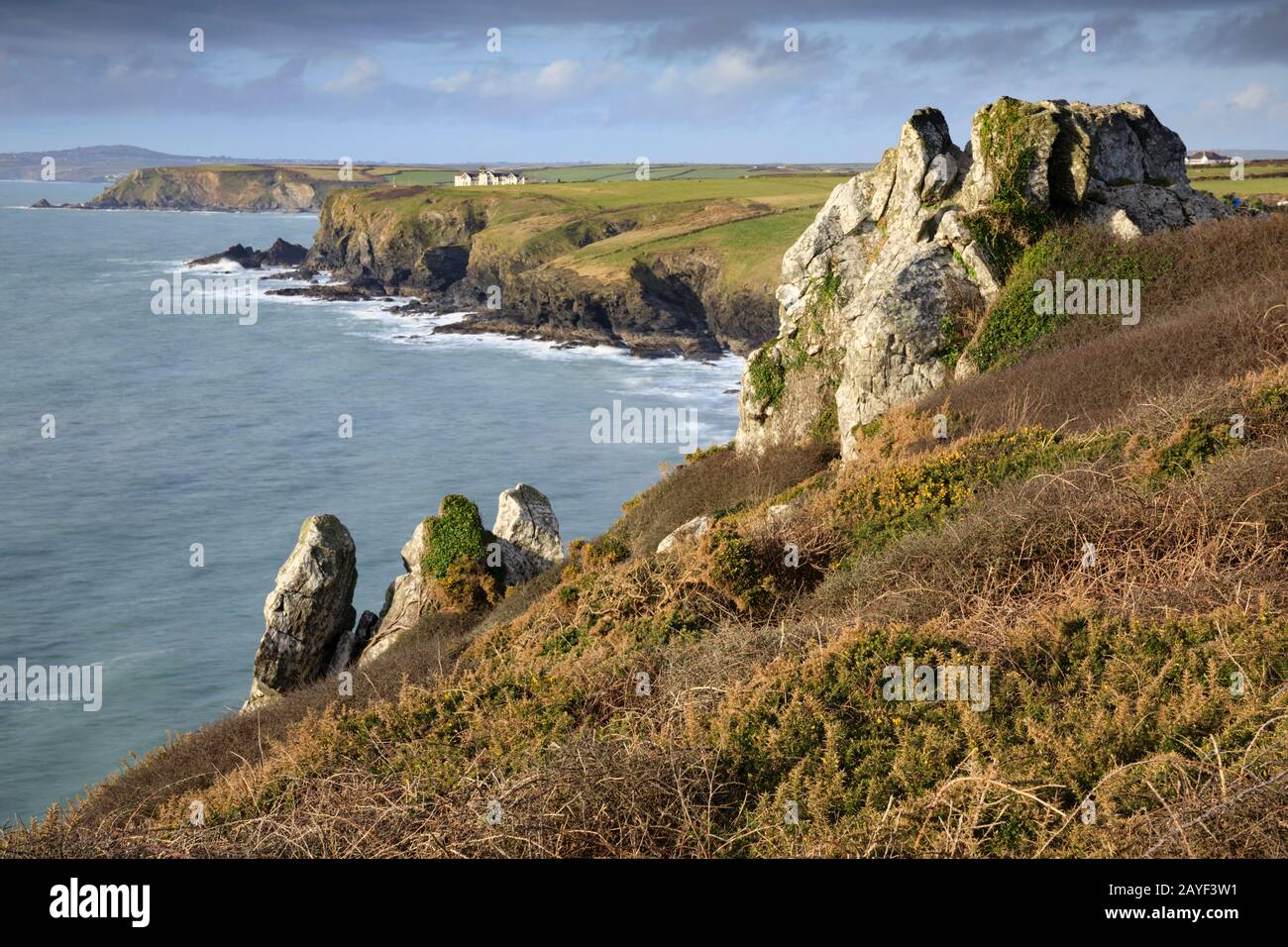 Felsen über der Polurrian Cove, in der Nähe von Mullion in Cornwall. Stockfoto