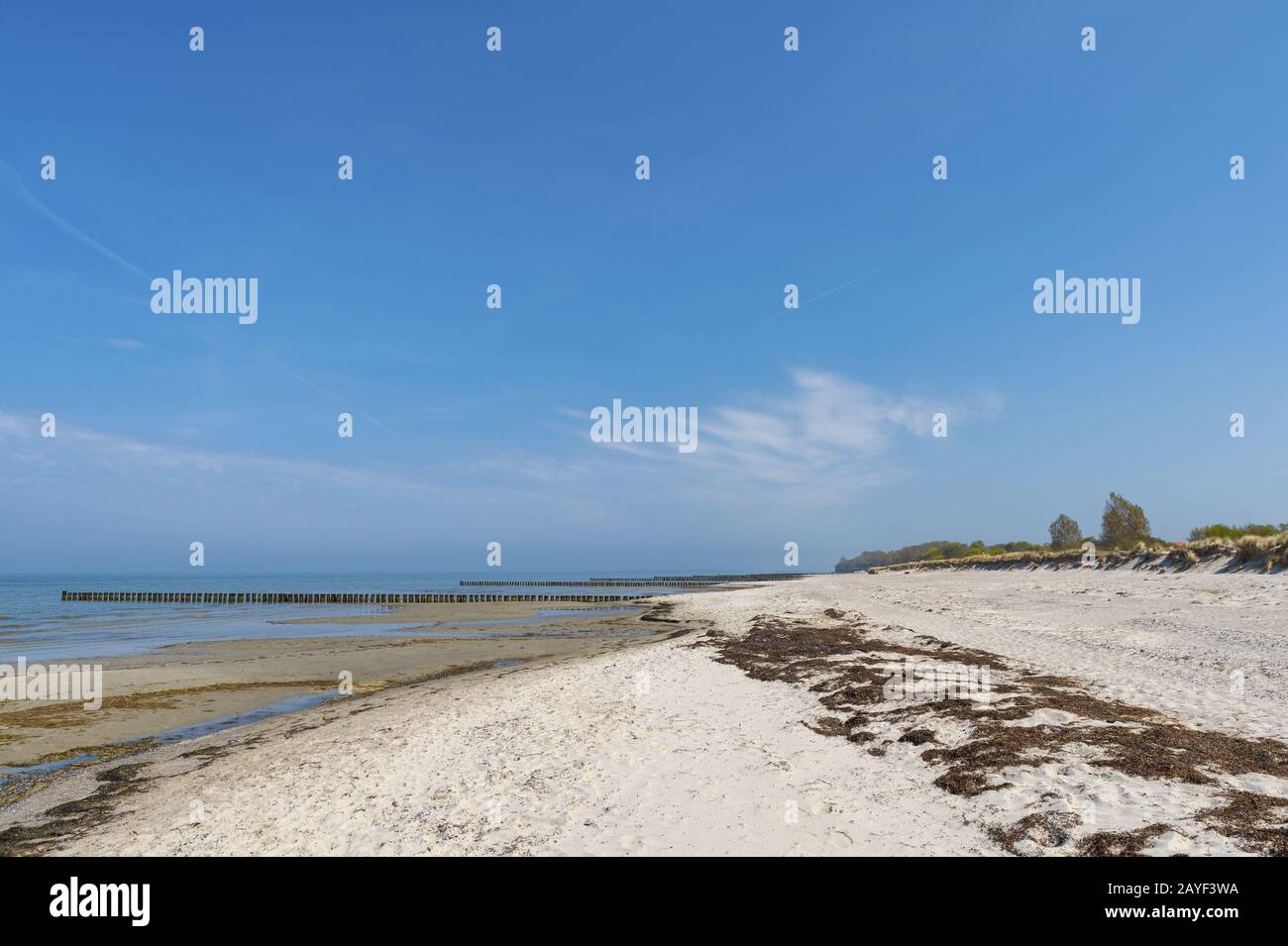 Unbewachsener Strand auf der Insel Poel Stockfoto