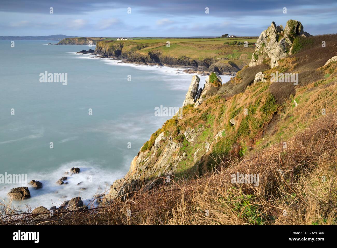 Felsen über der Polurrian Cove, in der Nähe von Mullion in Cornwall. Stockfoto