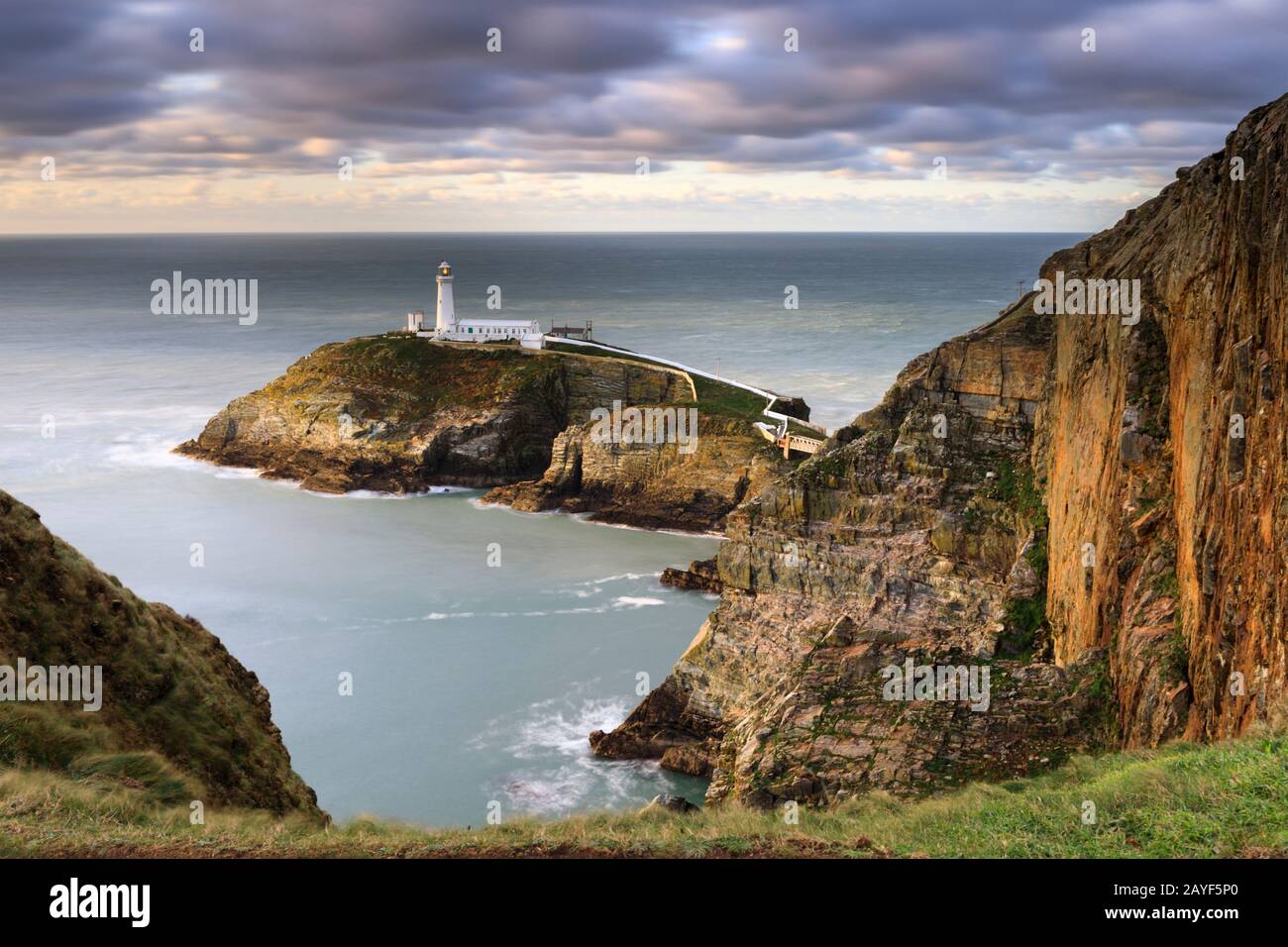 South Stack Lighthouse auf Anglesey in Nordwales. Stockfoto