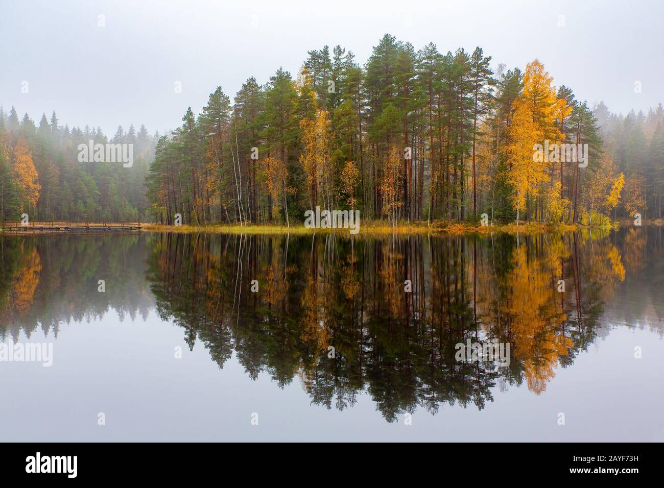 Finnischer Wald, der im Herbst in Wasser reflektiert wird Stockfoto