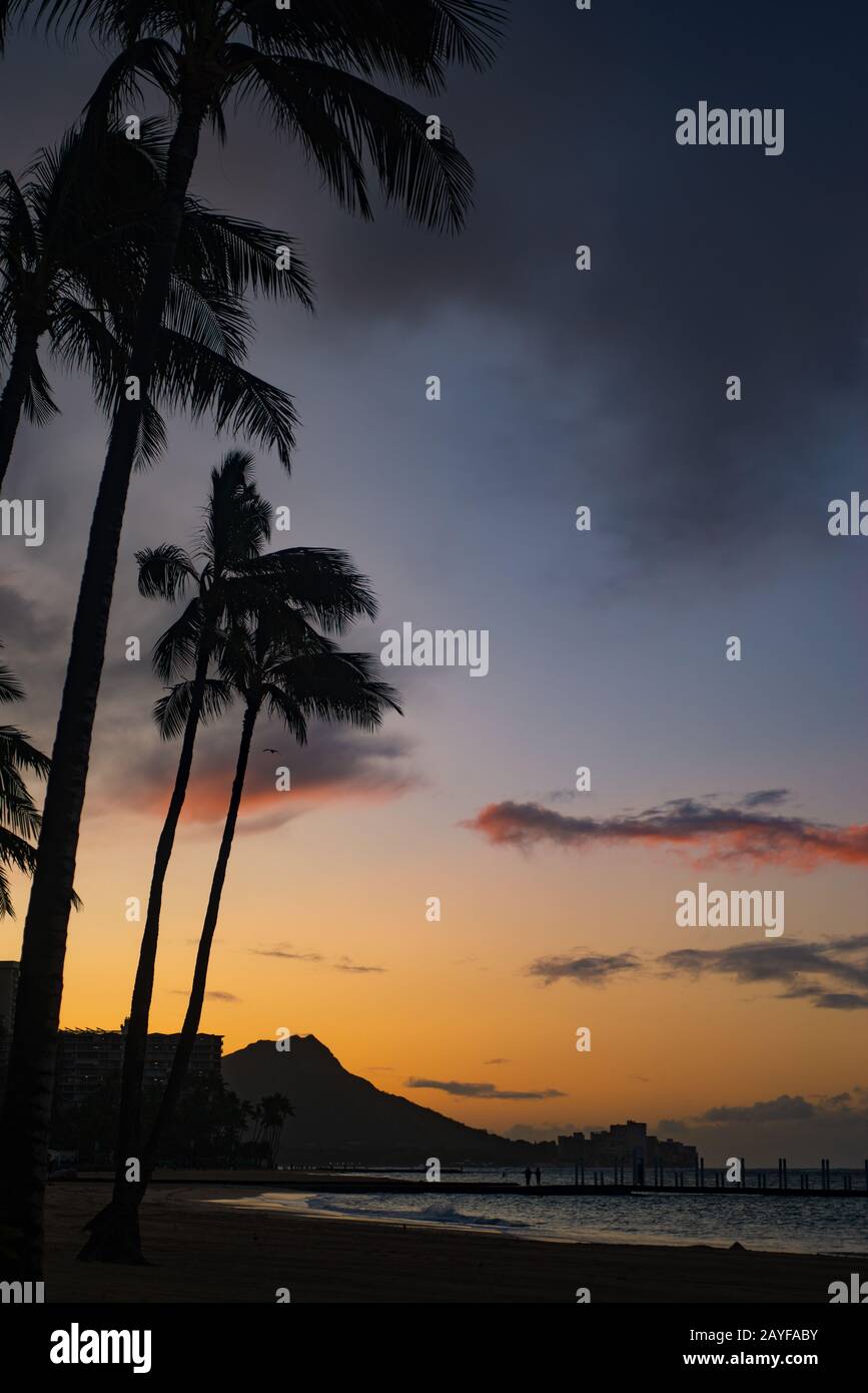 Sunrise Skies Hinter Diamond Head auf der Insel Oahu vom Waikiki Beach Mit Palmen im Vordergrund Stockfoto
