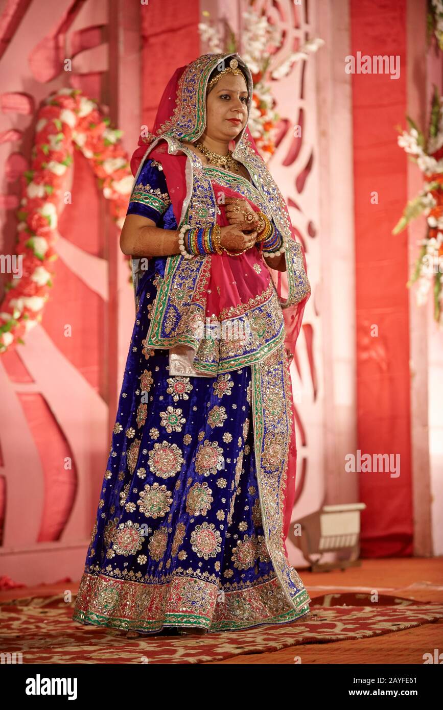 Indische Frau mit typischer Kleidung auf traditioneller indischer Hochzeit, Jodhpur, Rajasthan, Indien Stockfoto