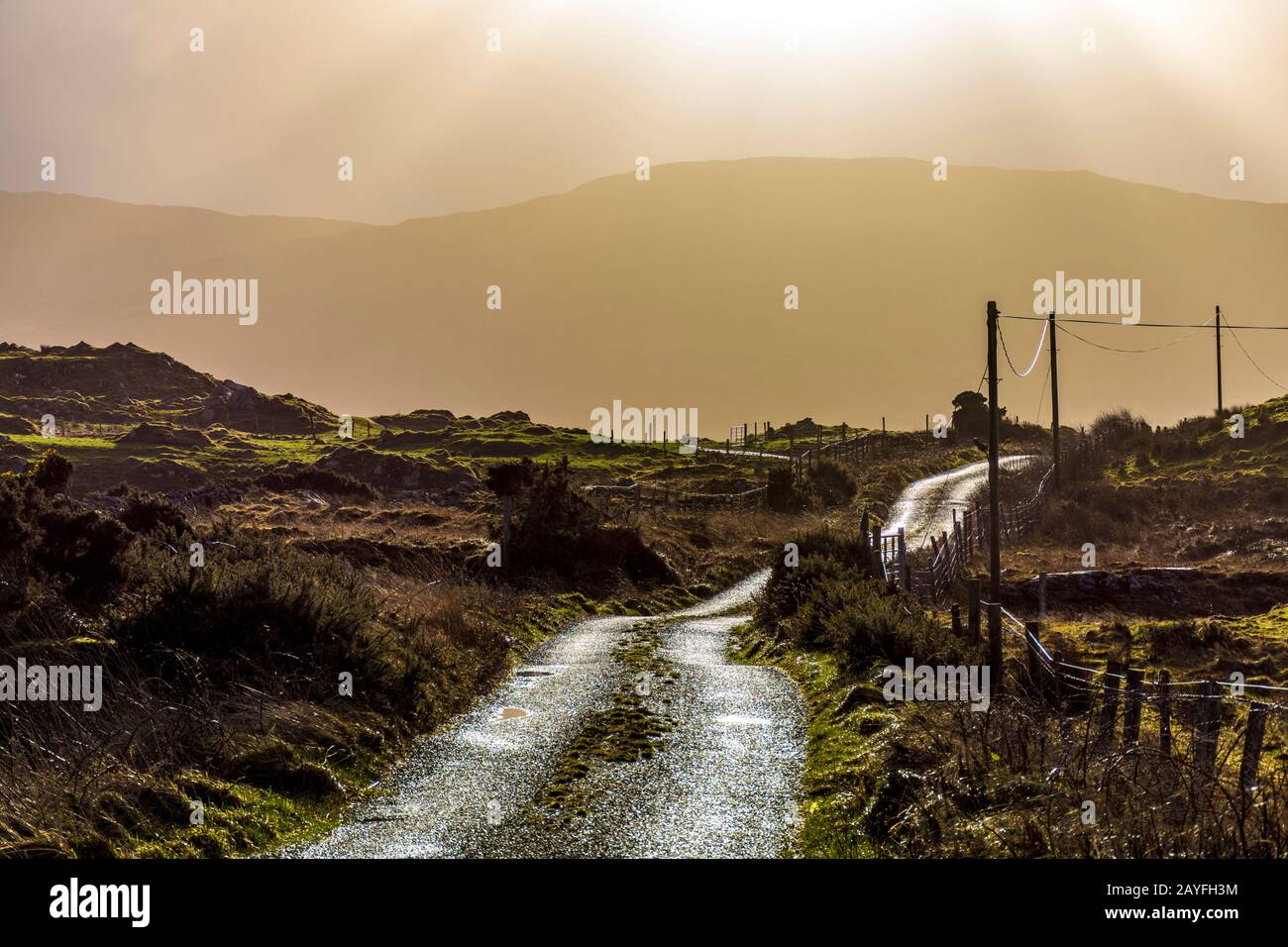 Landstraße im County Donegal, Irland. Sonnenschein nach Regenfällen auf dem Wilden Atlantikweg. Stockfoto