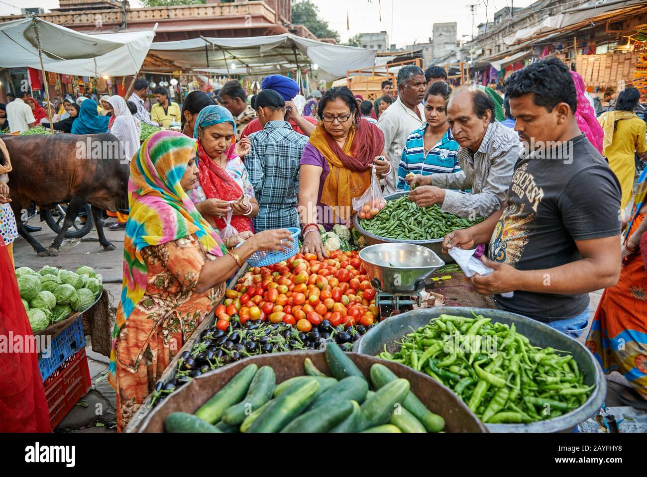 Bunte Streetlife auf dem Markt von Jodhpur, Rajasthan, Indien Stockfoto