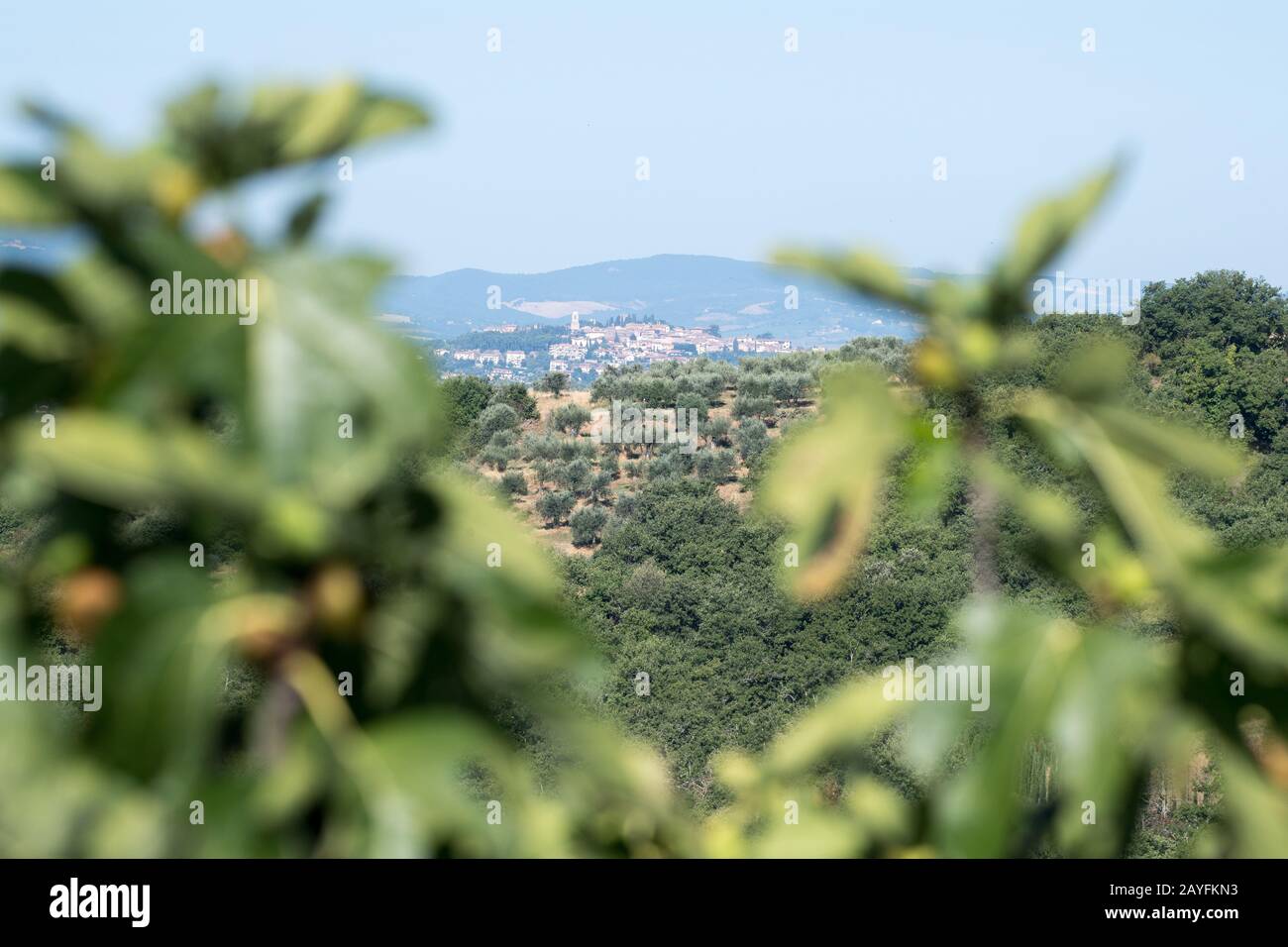 Chiusi, Umbrien, Italien. August 2019 © Wojciech Strozyk / Alamy Stock Photo Stockfoto