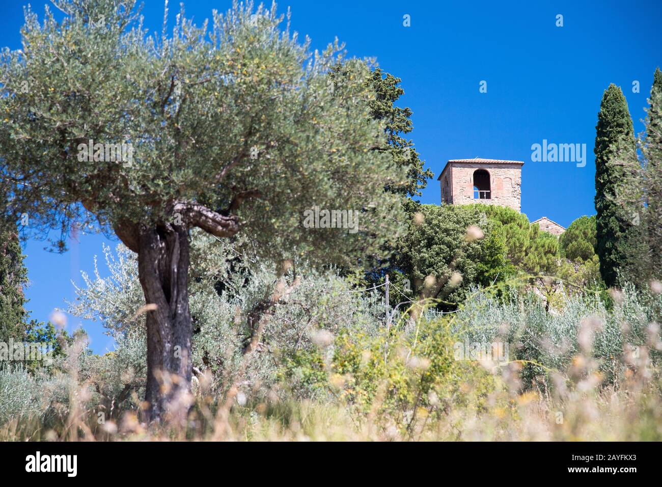Romanisches Abbazia di Santa Maria di Valdiponte (Kloster Montelabate
