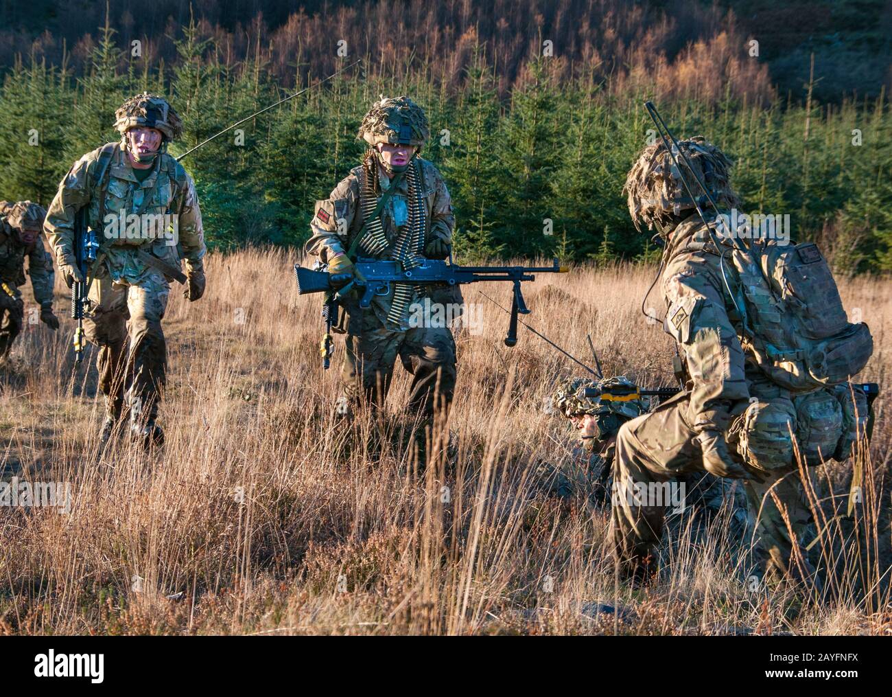 Truppen der British Army aus dem 3rd Battalion, Die Gewehre bei einer Trainingsübung auf Kirkcudbright Training Area, Dumfries and Galloway Southwest Scotland Stockfoto