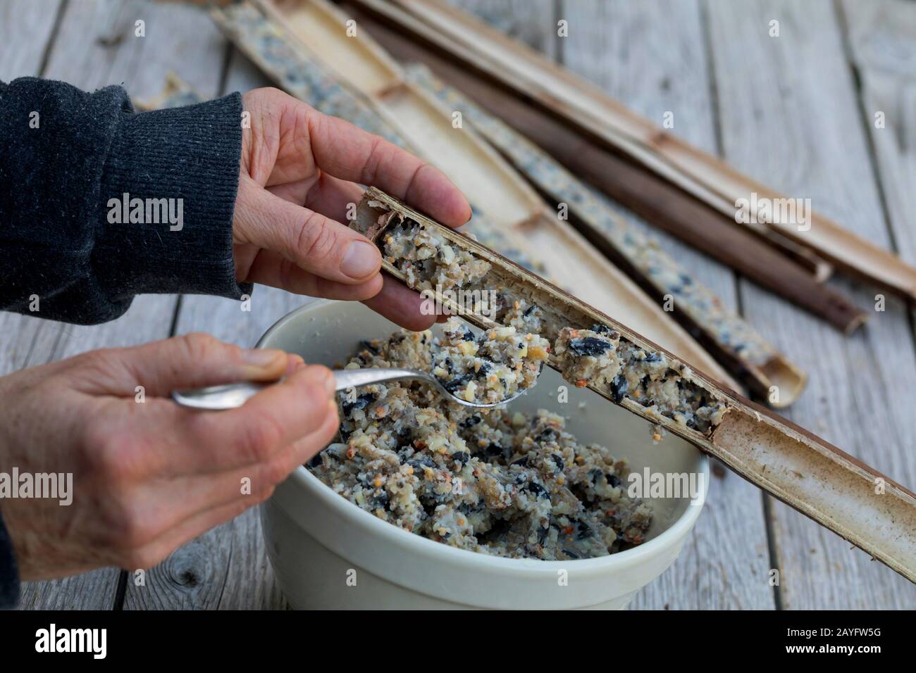 Hohle Pflanzenschäfte werden halbiert, um sich mit selbstgebaulicher Vogelnahrung, Deutschland, zu füllen Stockfoto