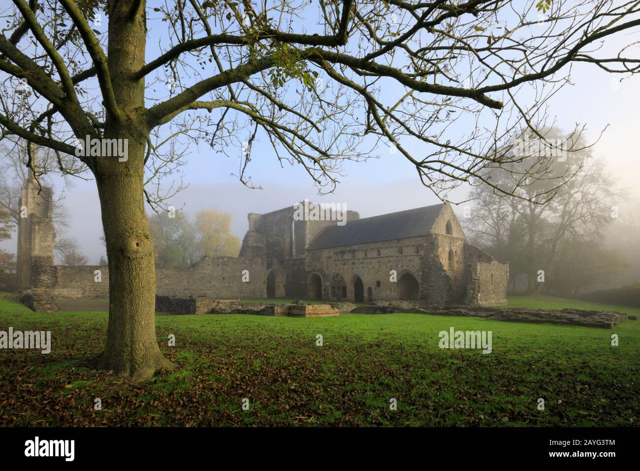 Valle Crucis Abbey in der Nähe von Llangollen in Nordwales. Stockfoto