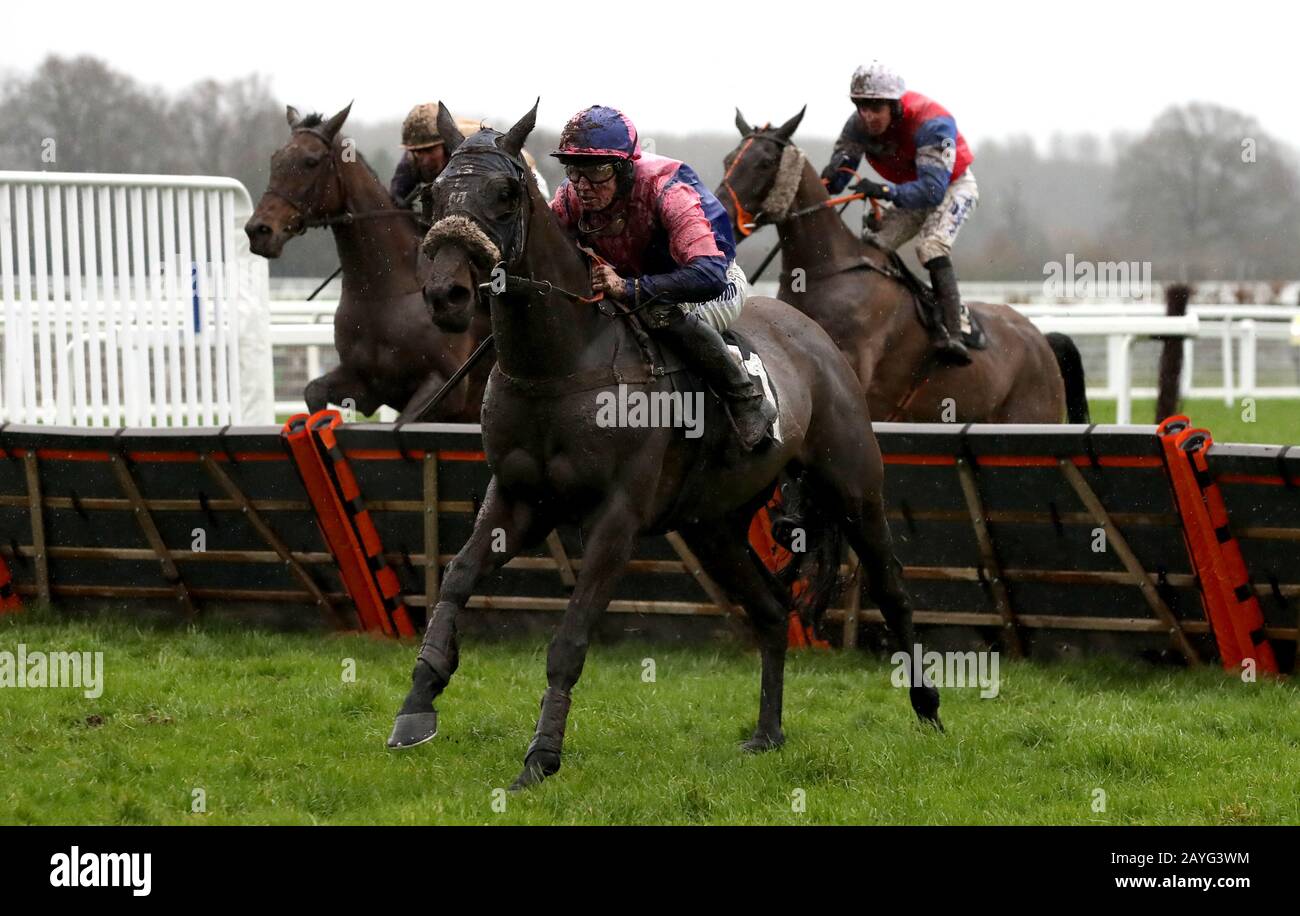 Distingo geritten von Joshua Moore (vorne) beim "Give The Gift Of Ascot Annual Membership Handicap Hurricale Race" während des Racedays von Betfair Ascot Chase auf der Rennbahn Ascot Racecourse. Stockfoto