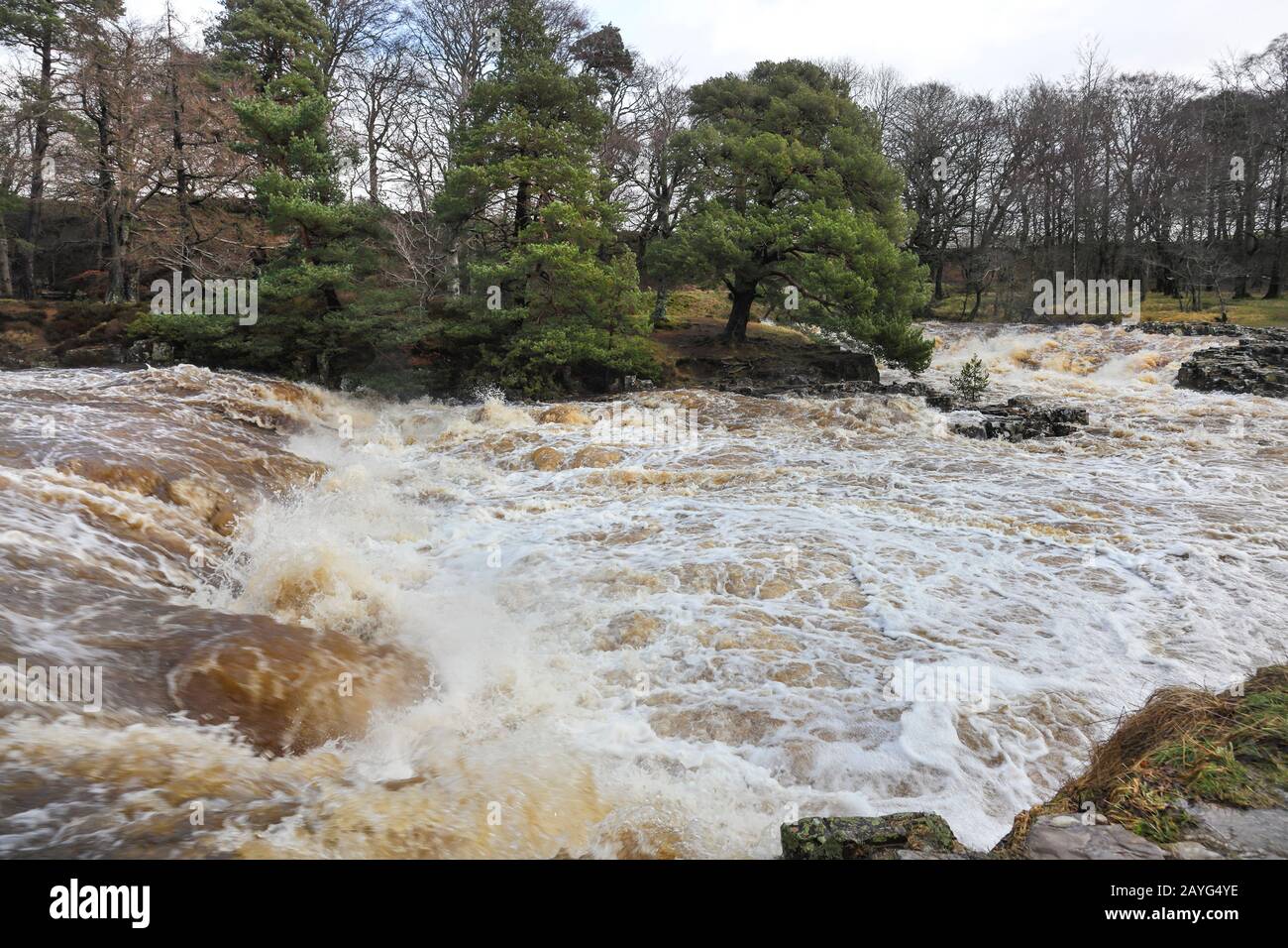 Der River Tees bei Low Force Während Storm Ciara, Bowlees, Teesdale, County Durham, Großbritannien Stockfoto