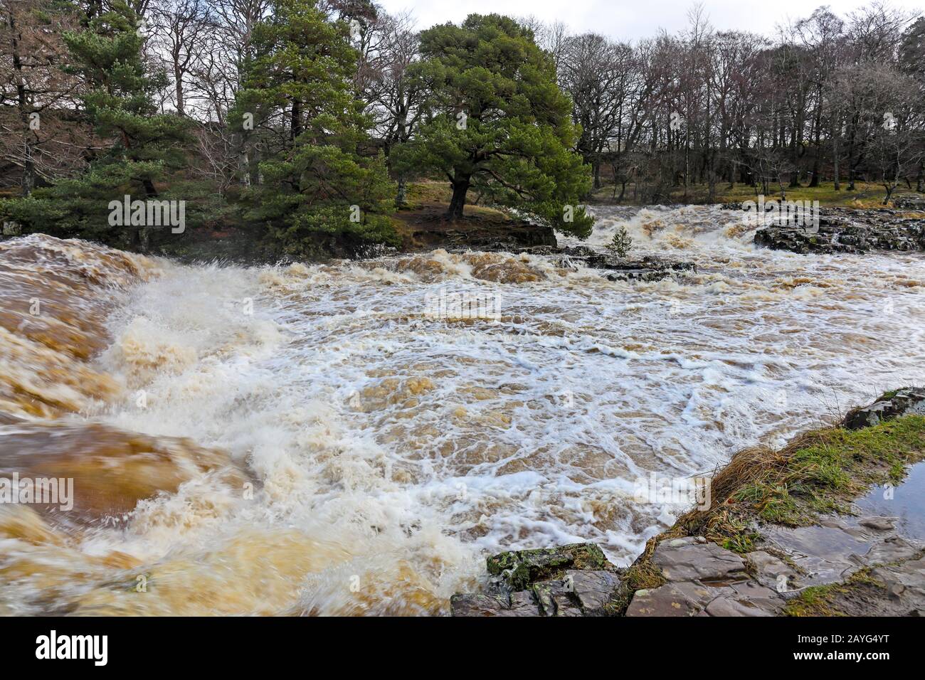 Der River Tees bei Low Force Während Storm Ciara, Bowlees, Teesdale, County Durham, Großbritannien Stockfoto