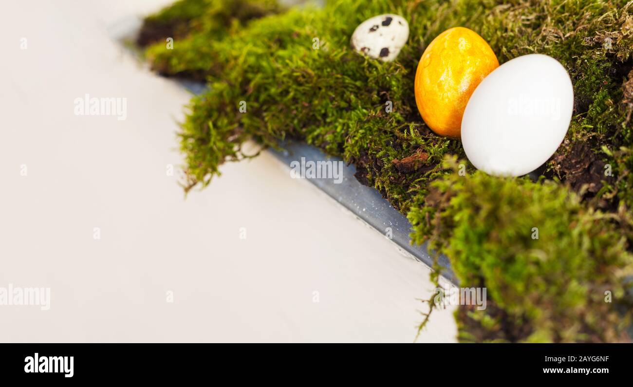 Osterhintergrund Dekoration mit ostereiern auf grünmoosgelber Farbe in der Natur. Federschmuck. Natürlich Zuhause Inneneinrichtung, die nachhaltig gestaltet Stockfoto