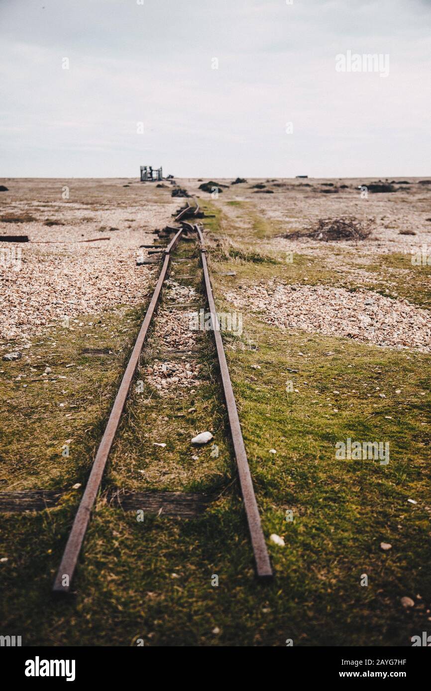 Spuren am Dungeness Beach Stockfoto