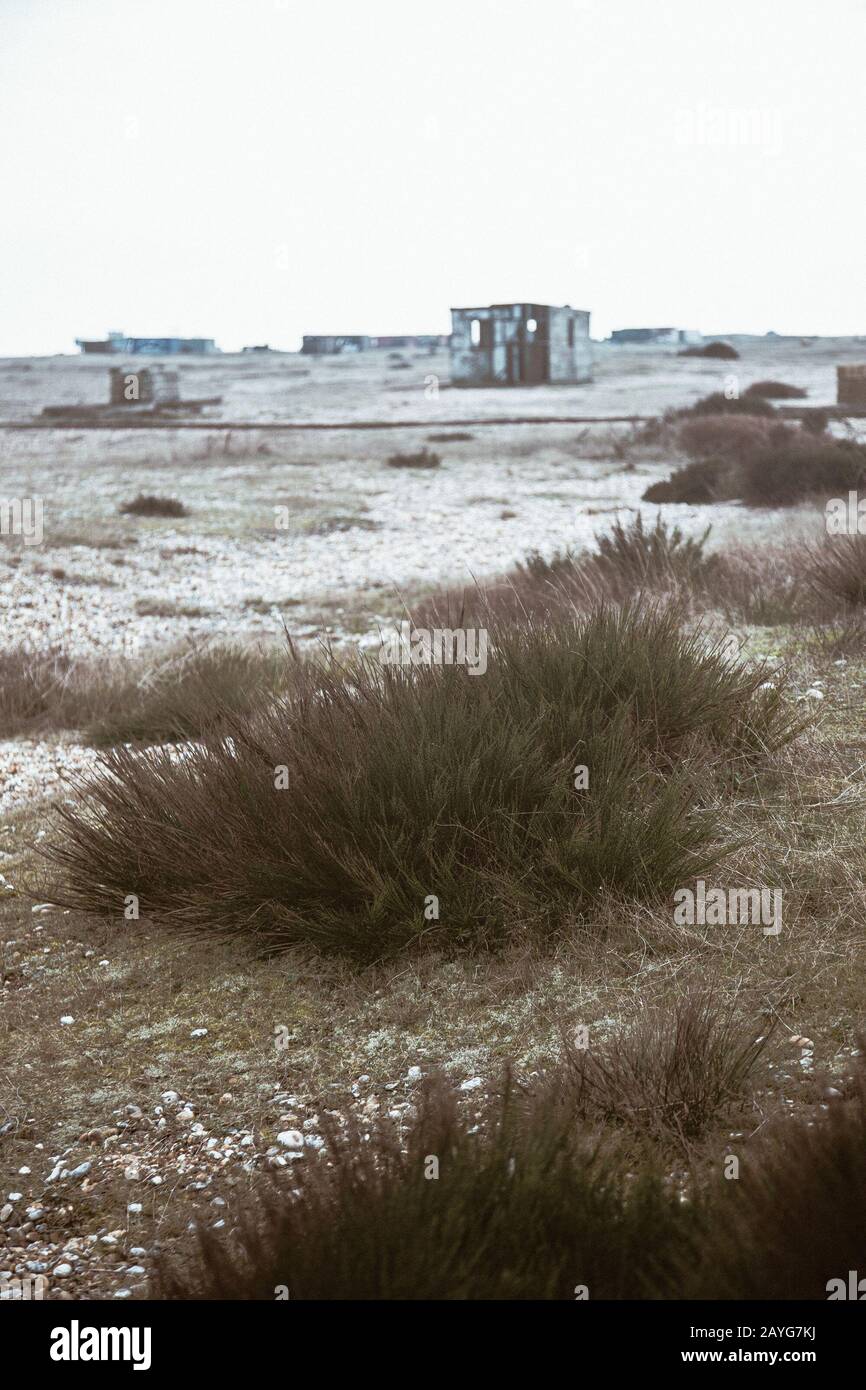 Dungeness-Strand Stockfoto