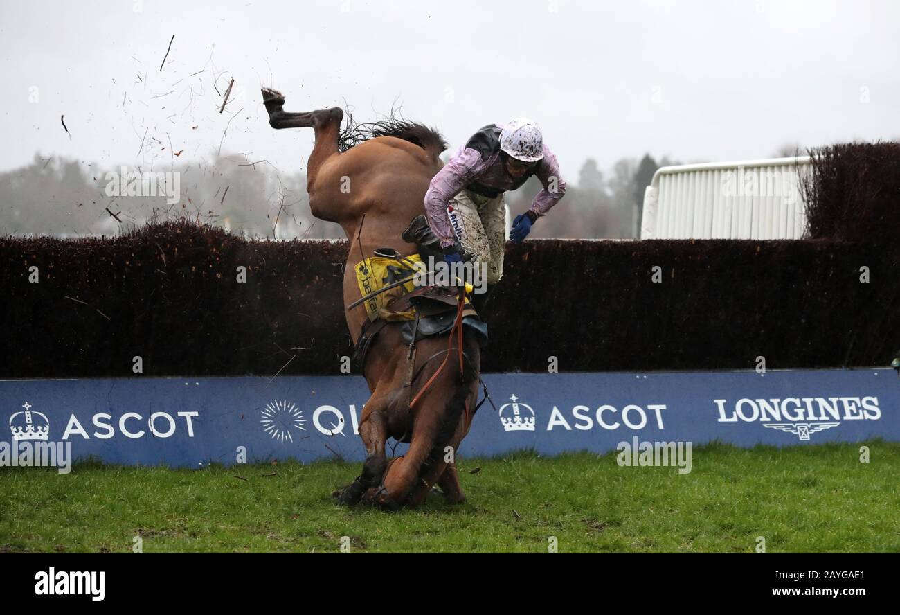 Traffic Fluide, von Joshua Moore geritten, ist ein faller im Betfair Ascot Steeple Chase während Des Betfair Ascot Chase Raceday auf der Ascot Racecourse. Stockfoto