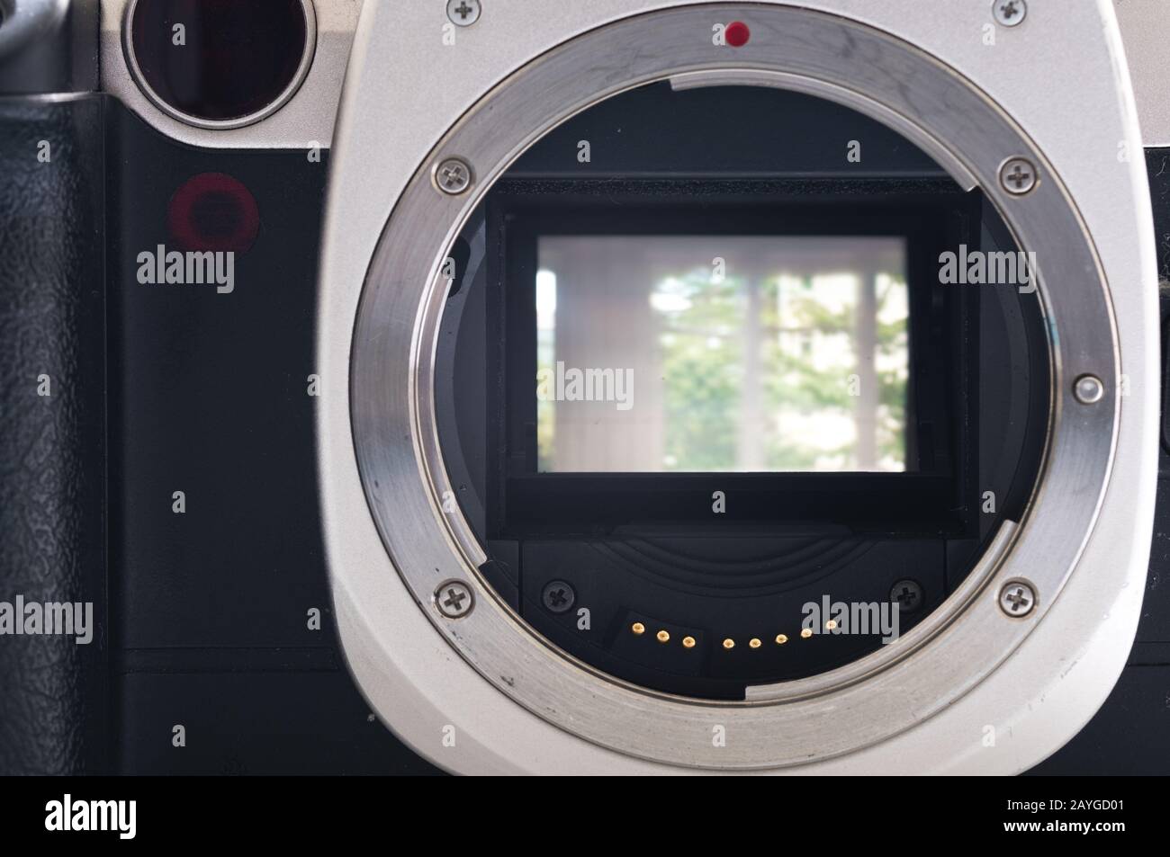 Spiegelsensor in dslr-Kamera ohne Objektiv Stockfoto