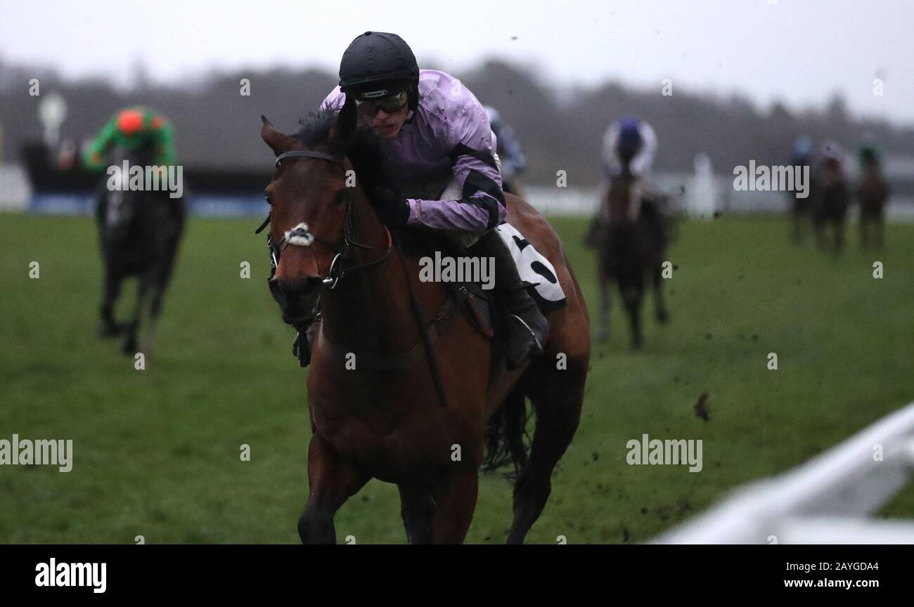 Sabrina, die von Harry Cobden auf dem Weg zum Sieg beim britischen EBF Mares Standard Open National Hunt Flat Race auf der Ascot Raceday von Betfair Ascot gefahren wurde. Stockfoto