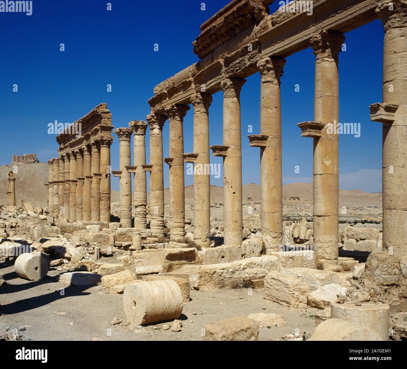 Syrisch. Ruinen der Stadt Palmyra. Naher Osten. Kolonnade. Chr. erwähnt. Oase von Tadmor. Foto vor dem syrischen Bürgerkrieg gemacht. Stockfoto