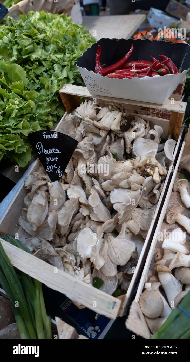 Austernpilze zum Verkauf auf einem Marktstand in Paris, Frankreich Stockfoto