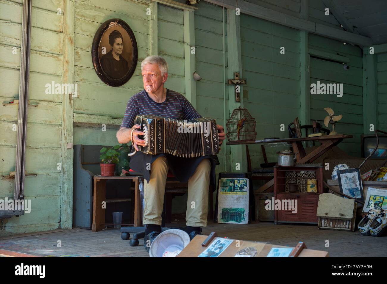 Ein Mann spielt ein Akkordeon in La Boca, einem Stadtviertel von Buenos Aires, das eine große Touristenattraktion in Buenos Aires, Argentinien, ist. Stockfoto