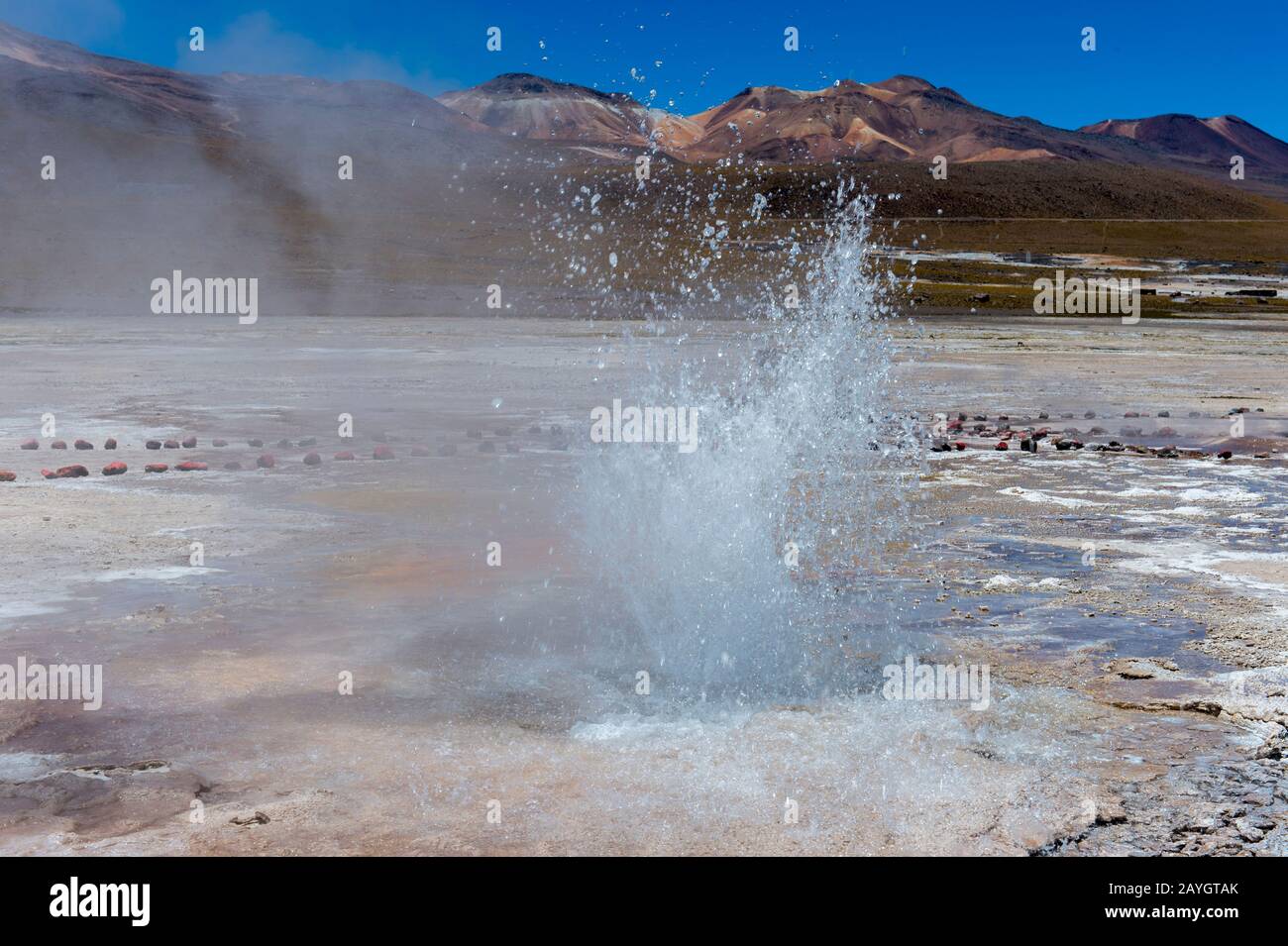 Eine sprudelnde heiße Quelle im Geothermie-Becken El Tatio Geysers, das sich in der Nähe von San Pedro de Atacama in der Atacama-Wüste im Norden Chiles befindet. Stockfoto