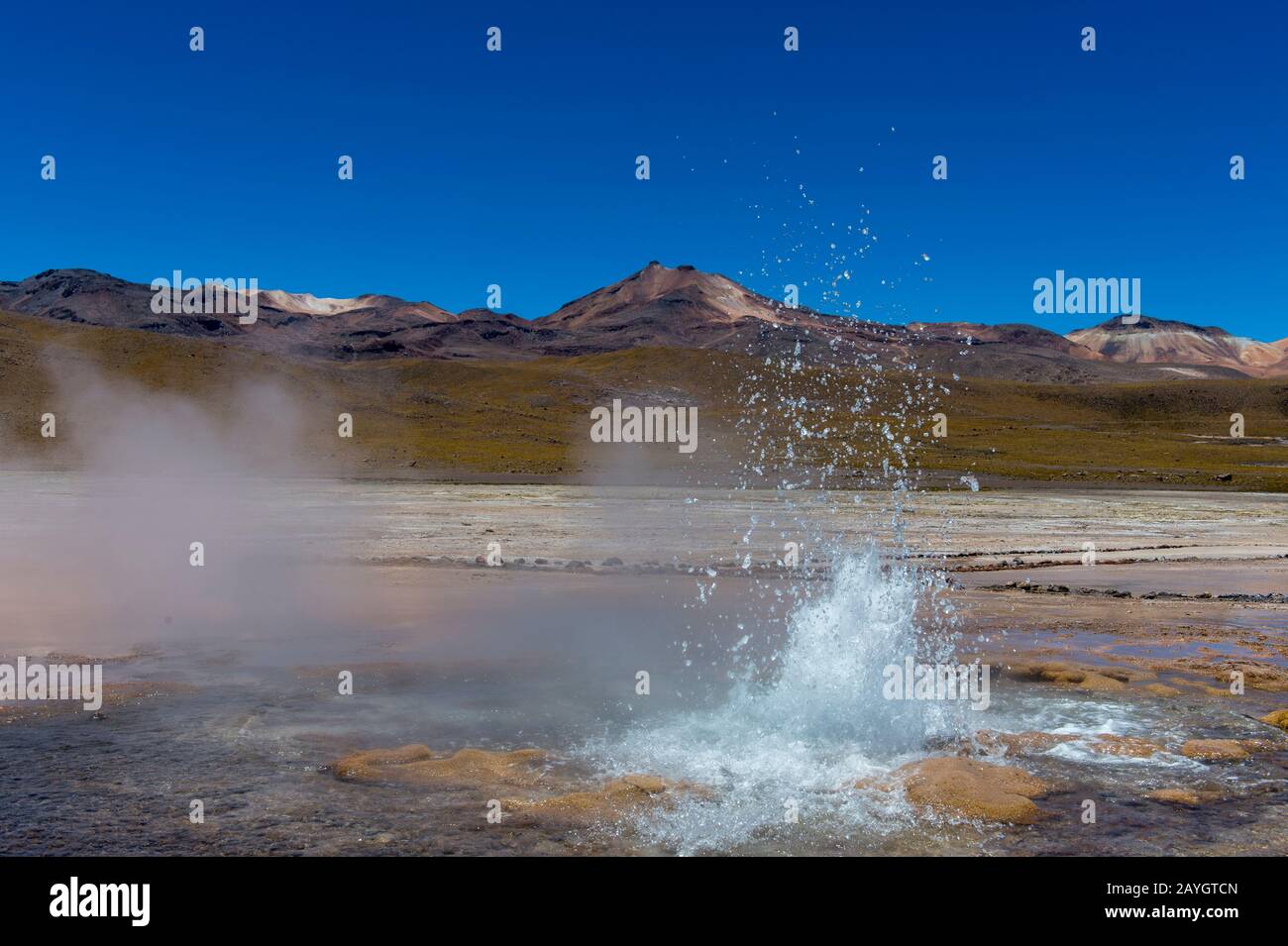 Eine sprudelnde heiße Quelle im Geothermie-Becken El Tatio Geysers, das sich in der Nähe von San Pedro de Atacama in der Atacama-Wüste im Norden Chiles befindet. Stockfoto