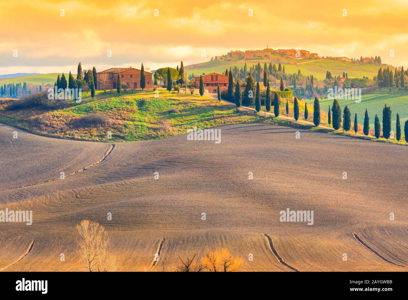 Toskana, Crete Senesi ländliche Sonnenuntergangslandschaft. Ländlicher Bauernhof, Bäume, grünes Feld, Sonnenschein auf dem Hügel. Siena, Italien. Stockfoto