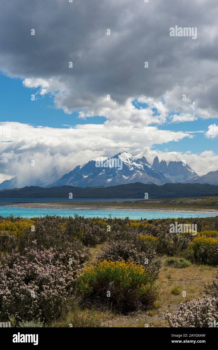 Blick auf den Nationalpark Torres del Paine vom See Sarmiento im Süden Chiles. Stockfoto
