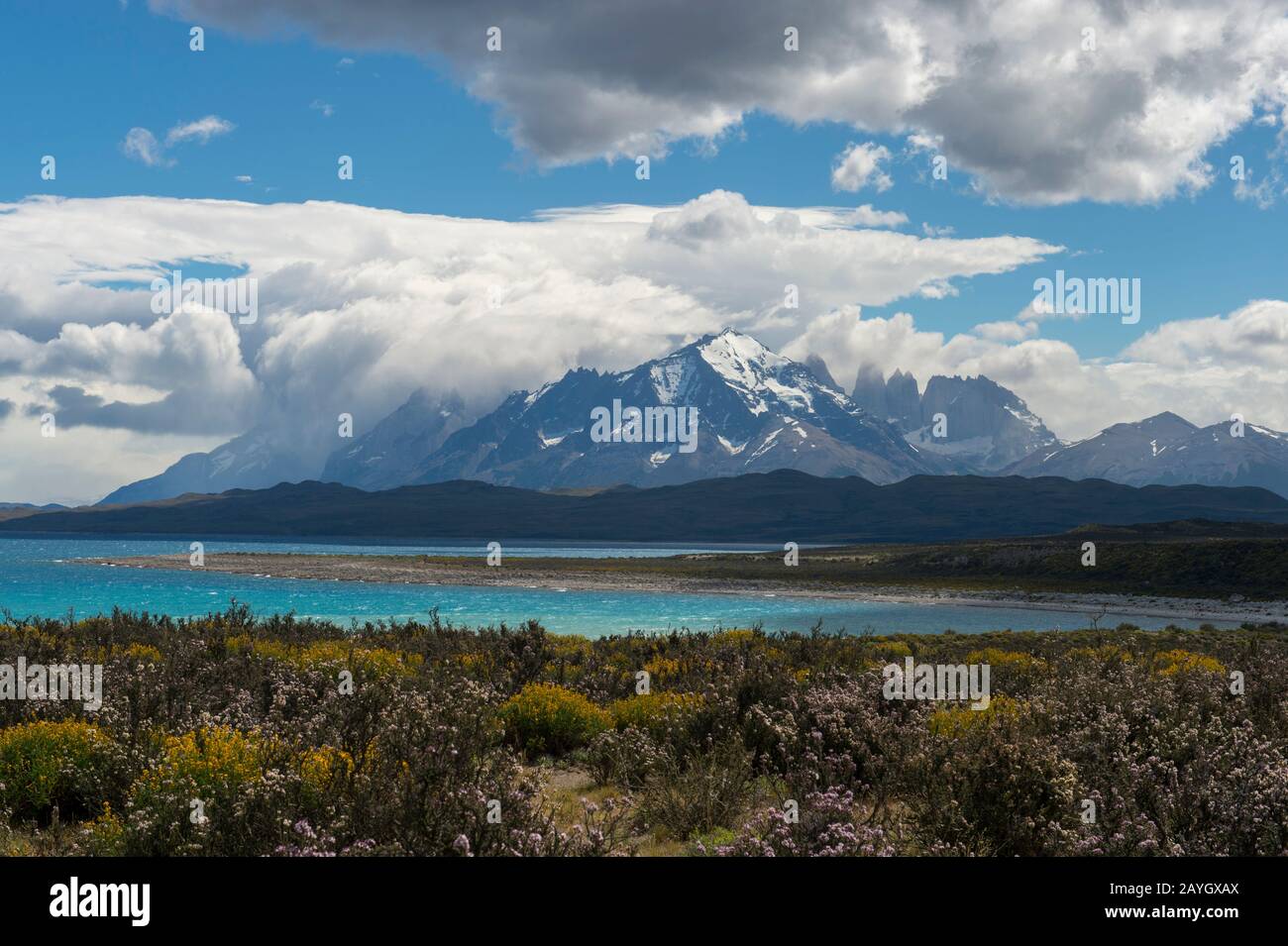 Blick auf den Nationalpark Torres del Paine vom See Sarmiento im Süden Chiles. Stockfoto