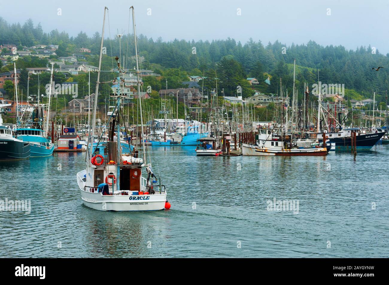 Newport, Oregon, USA - 23. August 2015: Ein Fischer pilotst seinen boart in den Yachthafen an der Yaquina Bay in Newport an der Küste von Oregon Stockfoto