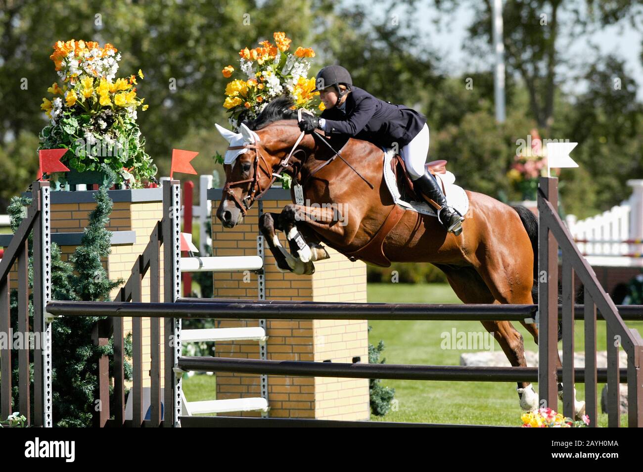 North American Spruce Meadows 2005, ATCO I-tek Amateur Cup, Lindsay Ceminchuk, Kanada, Reitzepelin Stockfoto