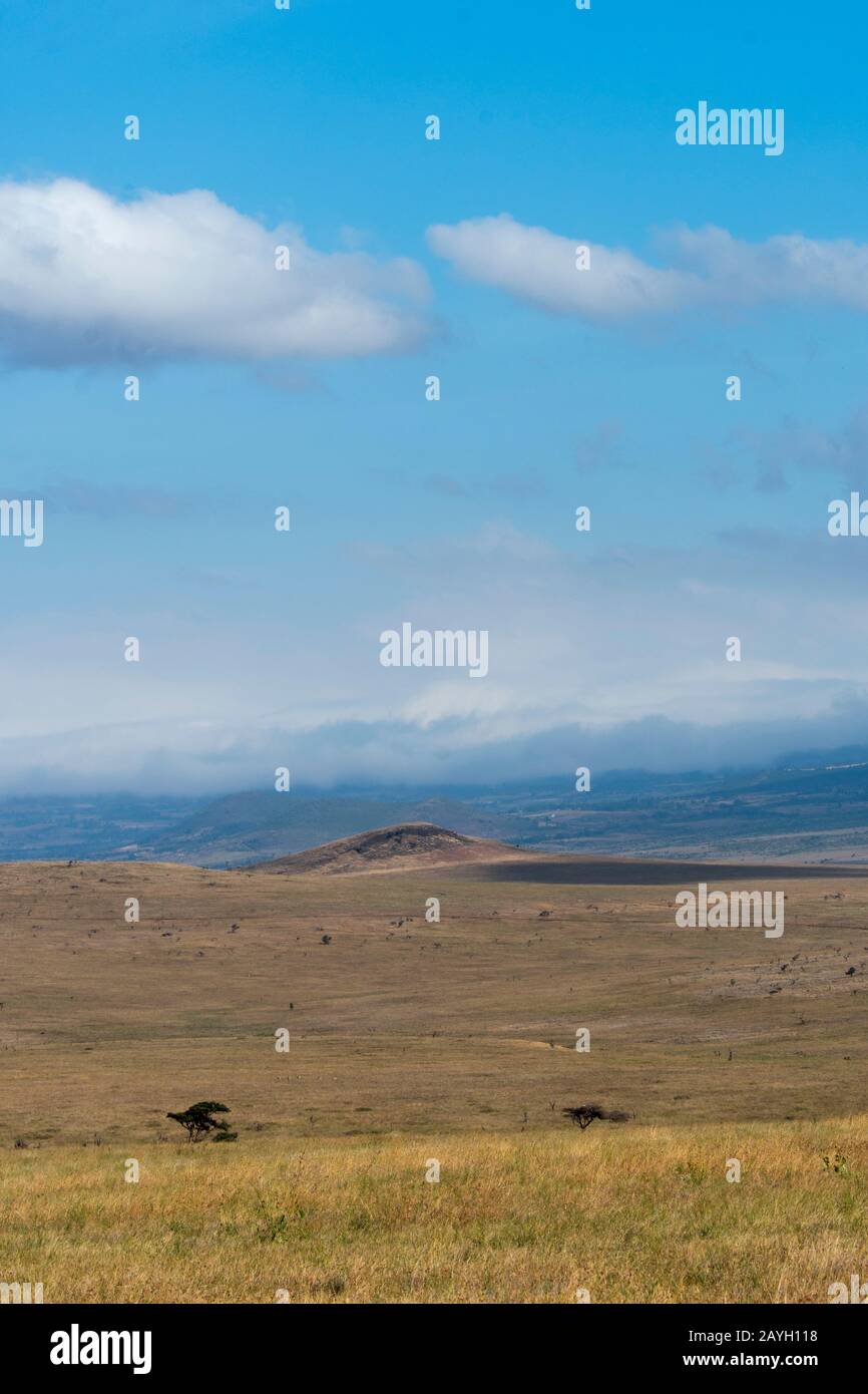 Blick auf die Grasland im Lewa Wildlife Conservancy in Kenia. Stockfoto