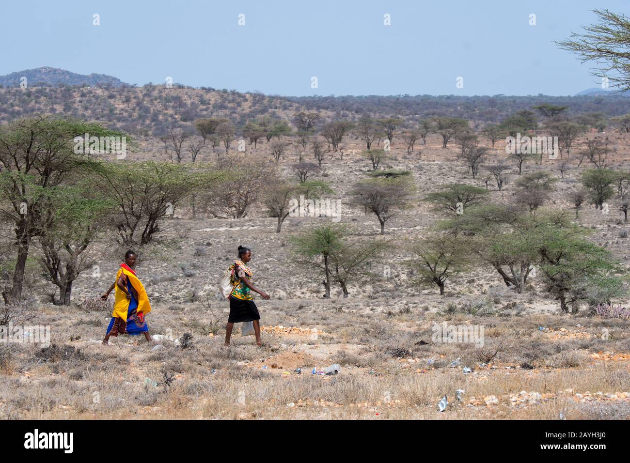 Samburu Frauen, die zu einem Dorf in Samburu in der Nähe des Samburu National Reserve in Kenia laufen. Stockfoto