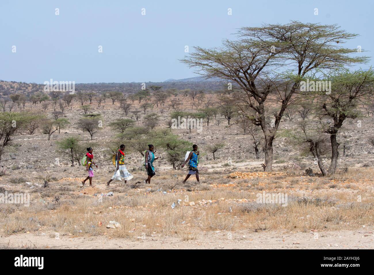 Samburu Frauen, die zu einem Dorf in Samburu in der Nähe des Samburu National Reserve in Kenia laufen. Stockfoto